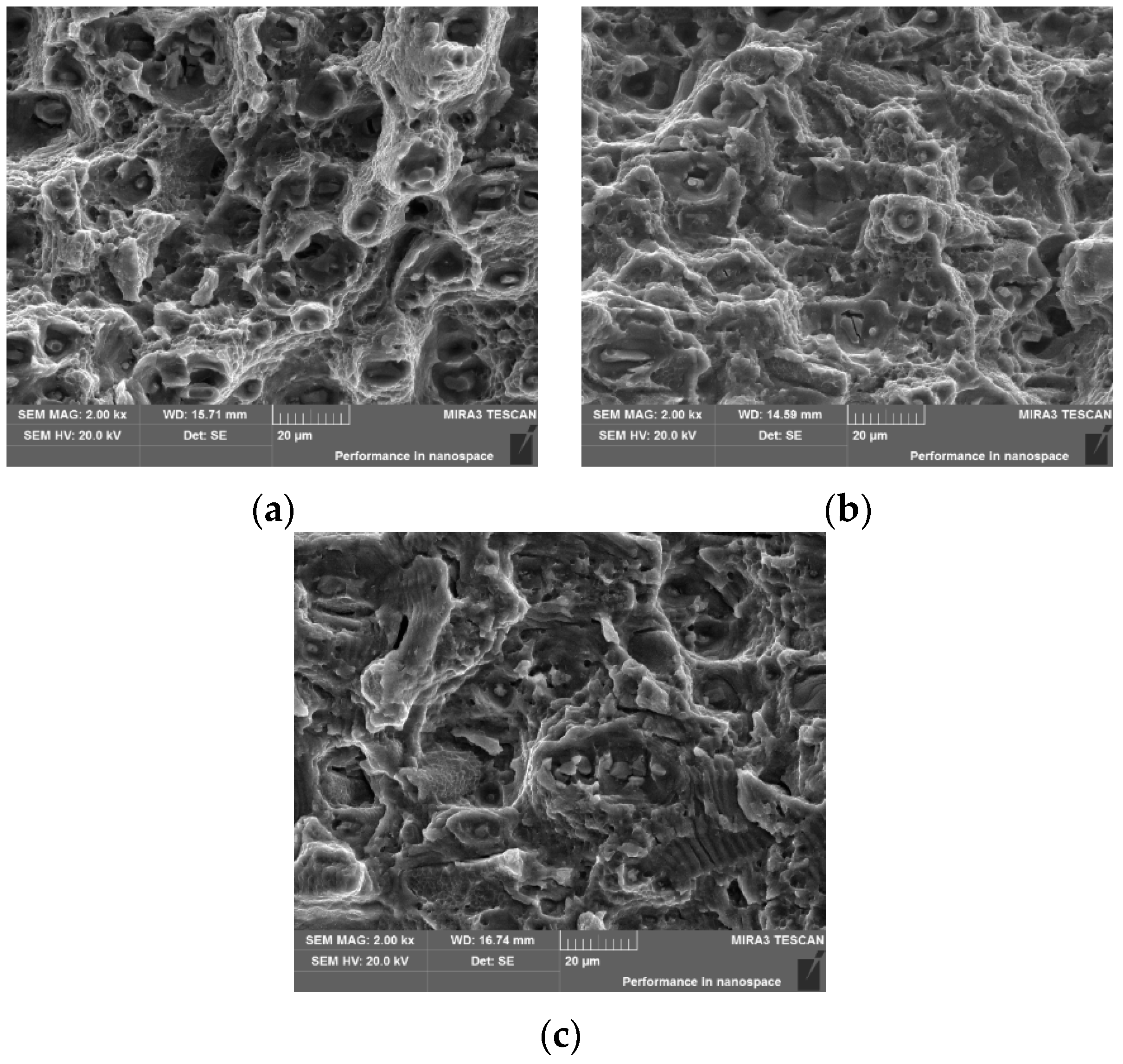 Metals 06 00215 g005 1024