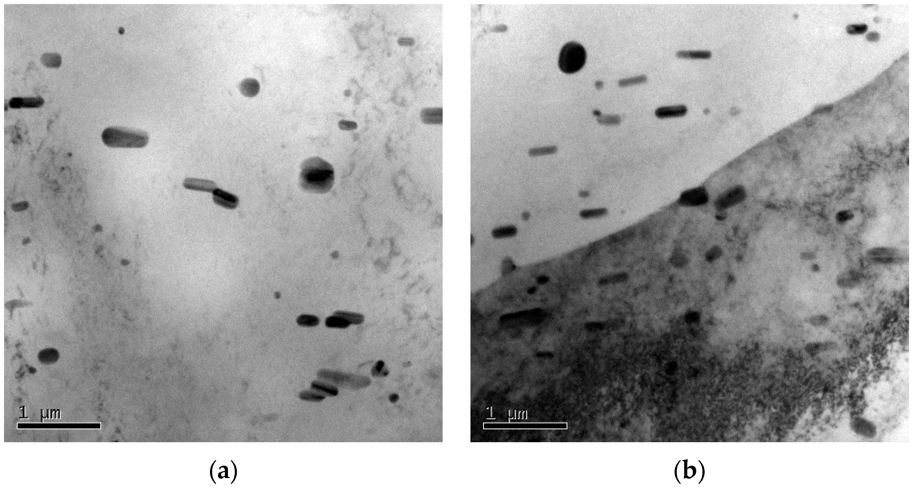 Metals 06 00215 g006a 1024