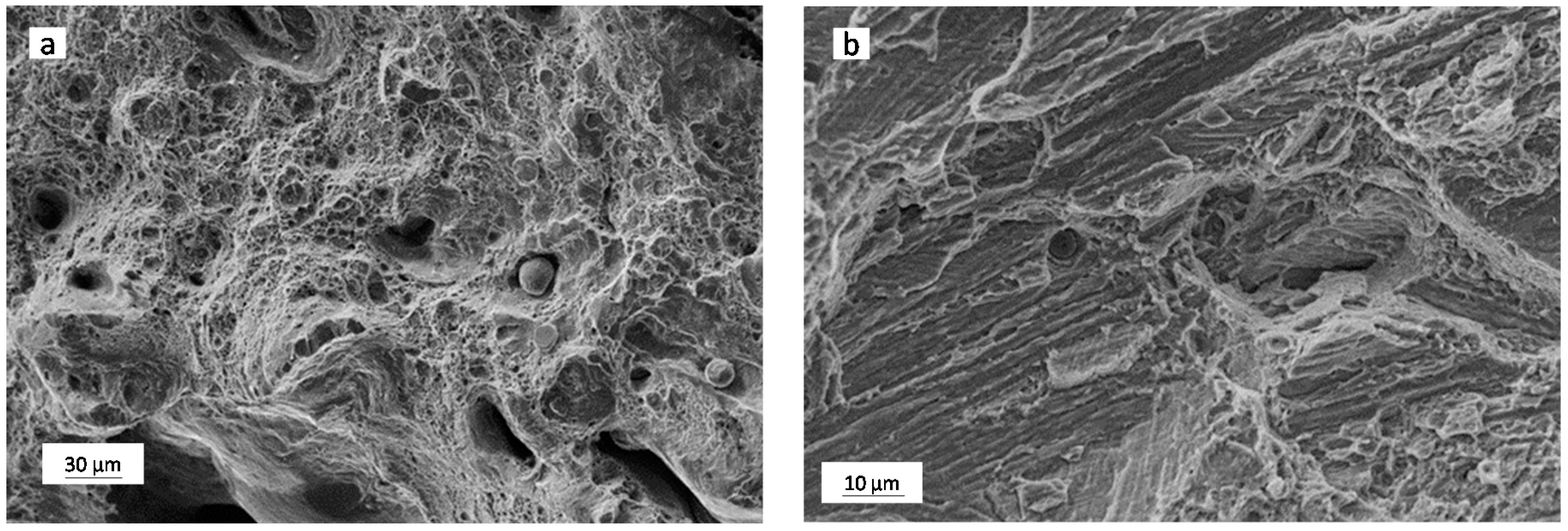 Metals 06 00218 g011 1024