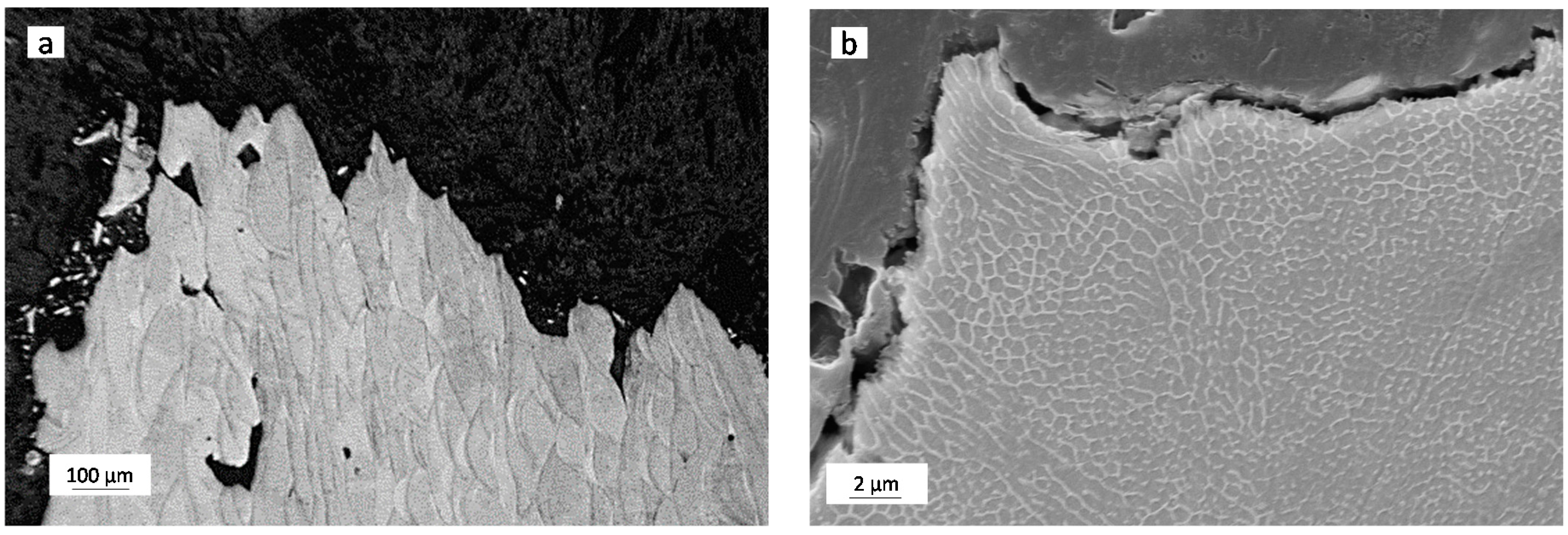 Metals 06 00218 g012 1024
