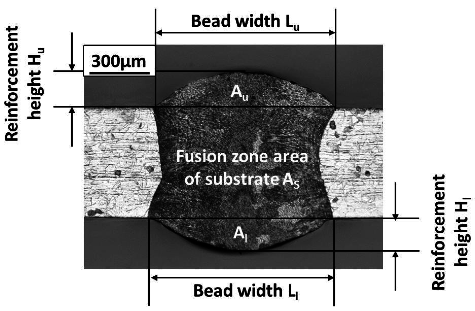 Metals 06 00237 g002