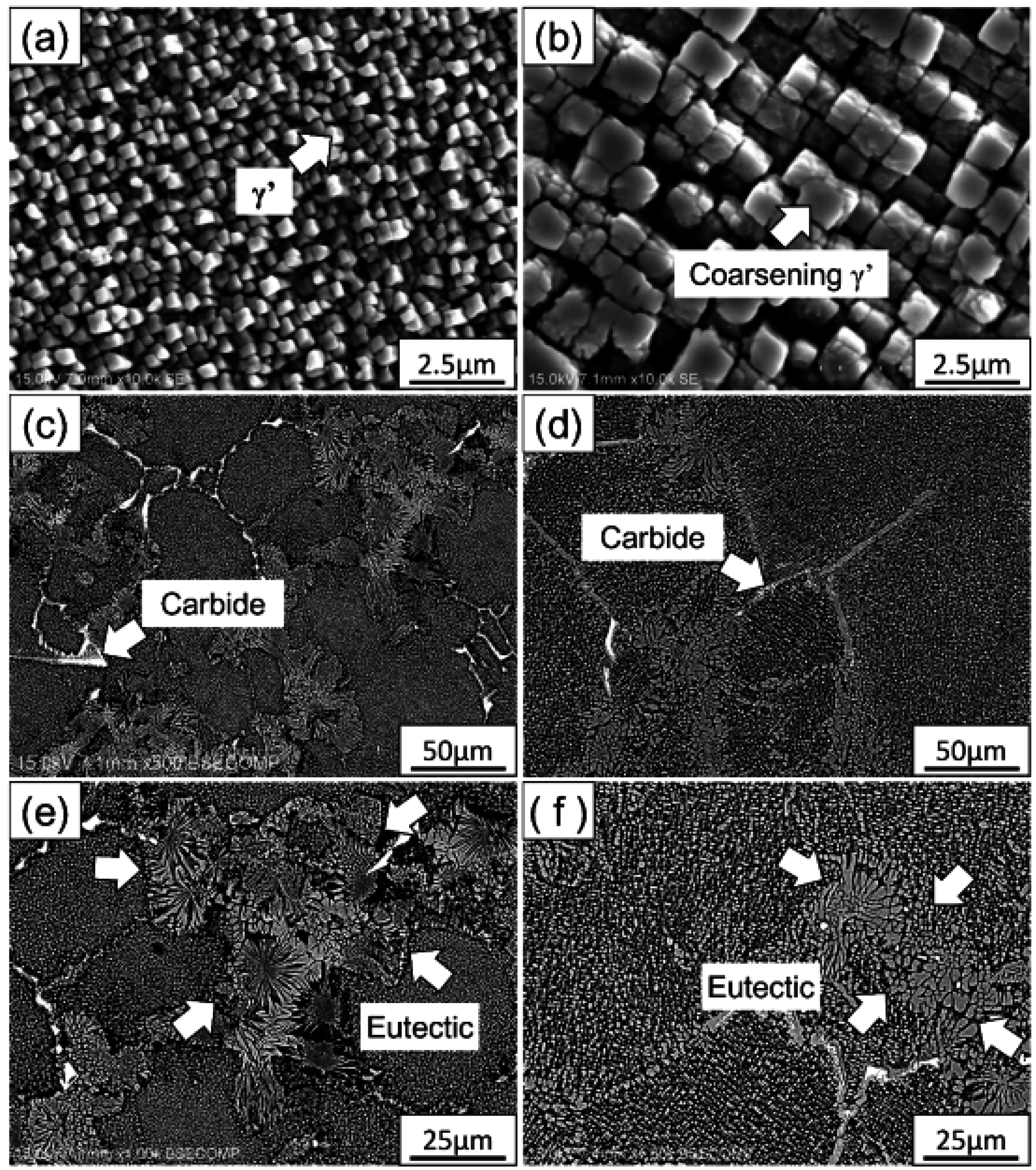 Metals 06 00238 g001