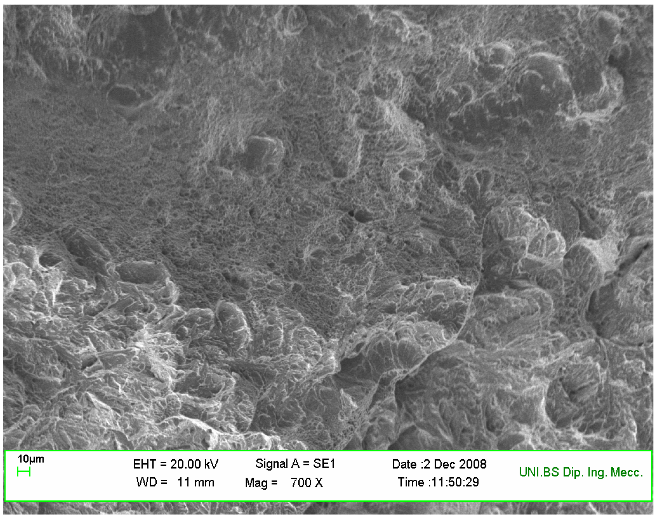 Metals 06 00239 g005 550