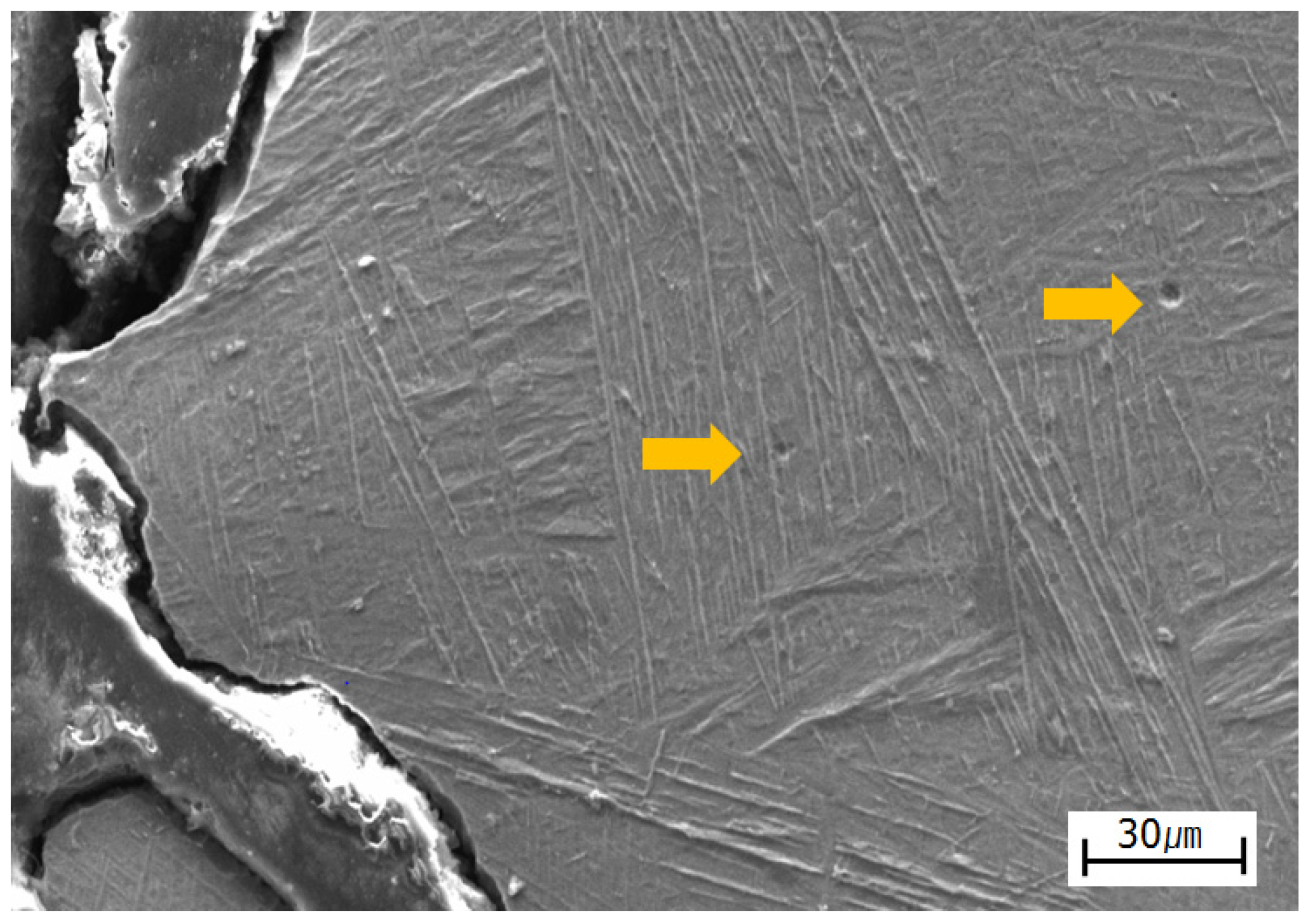 Metals 06 00243 g011 550