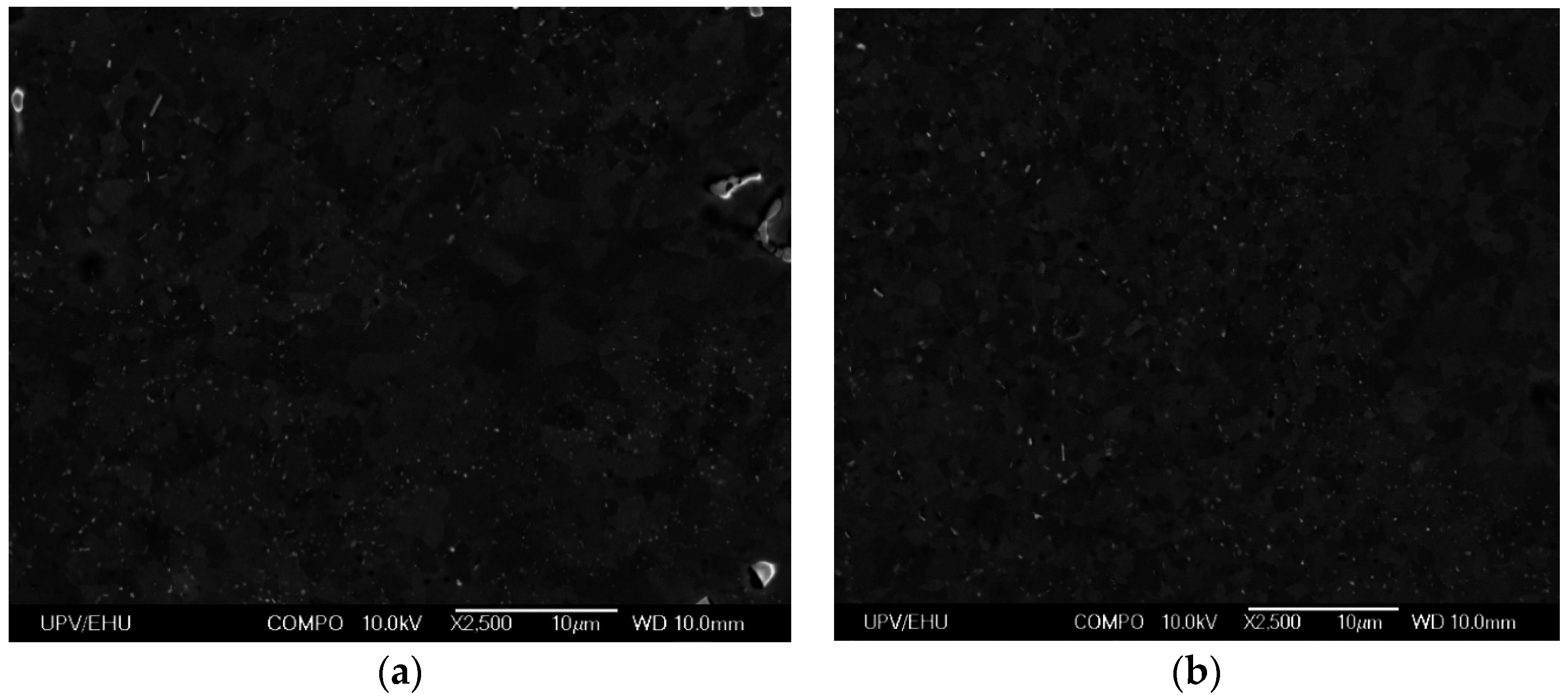 Metals 06 00244 g009a 550