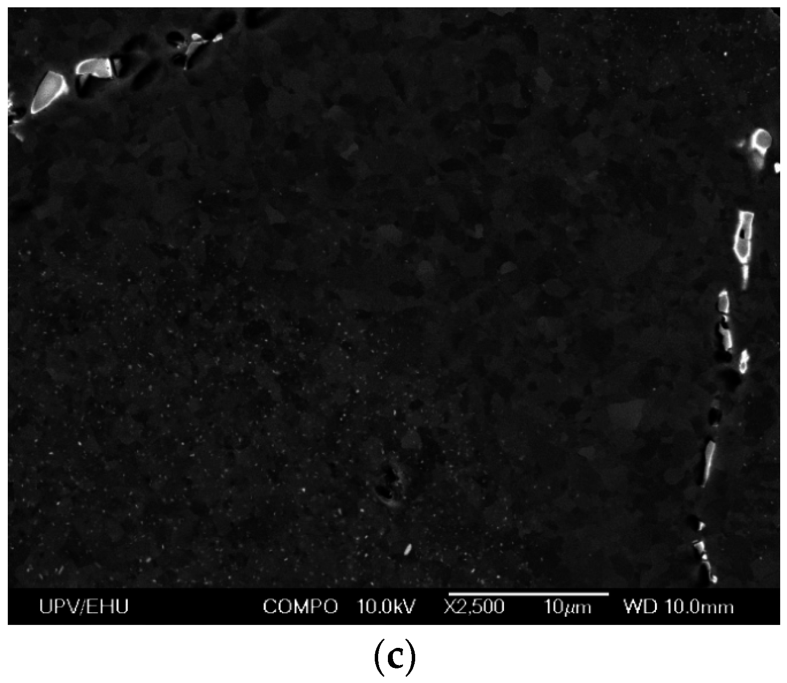 Metals 06 00244 g009b 550