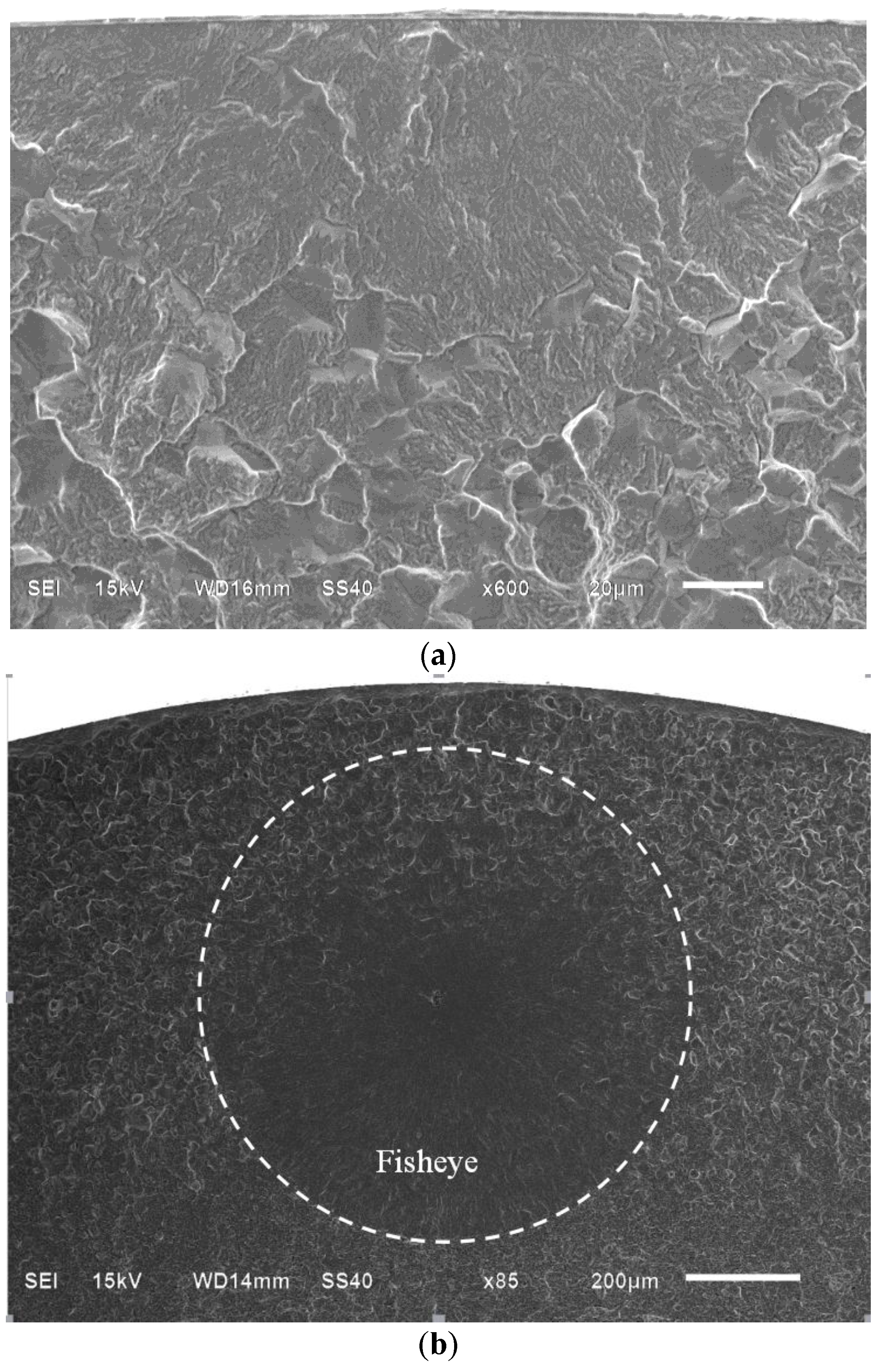 Metals 06 00246 g006a 550