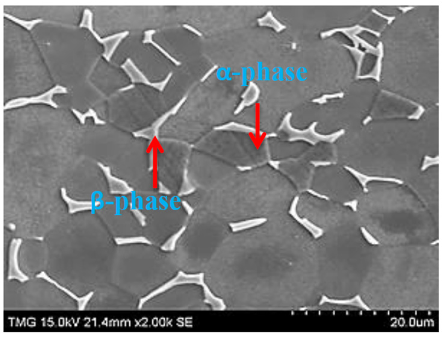 Metals 06 00262 g001