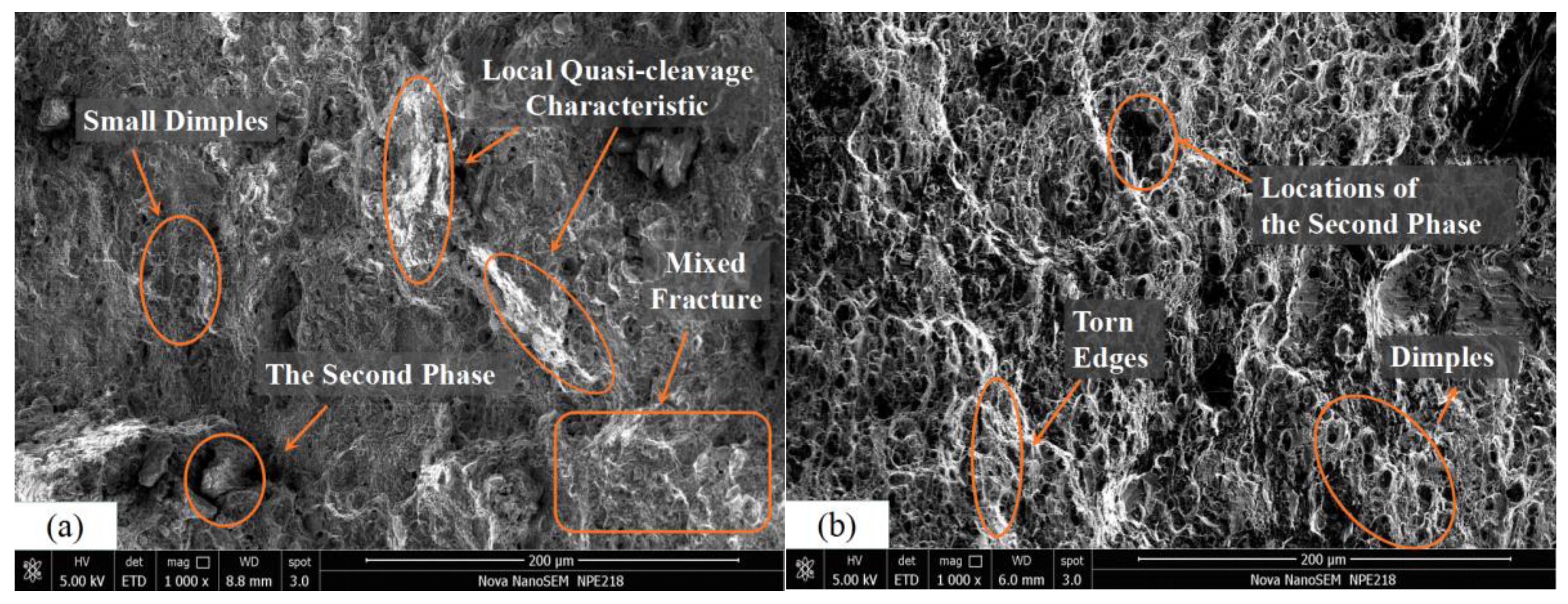 Metals 06 00279 g004a 550