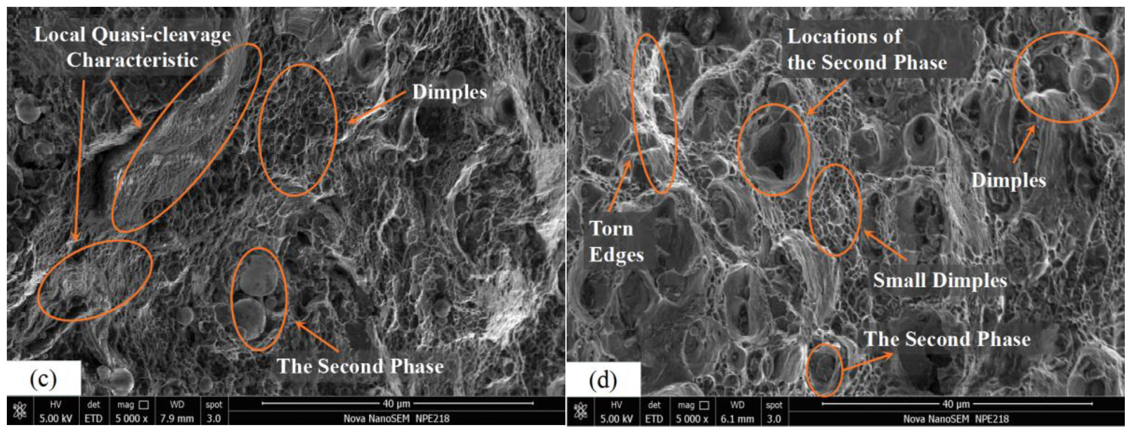 Metals 06 00279 g004b 550