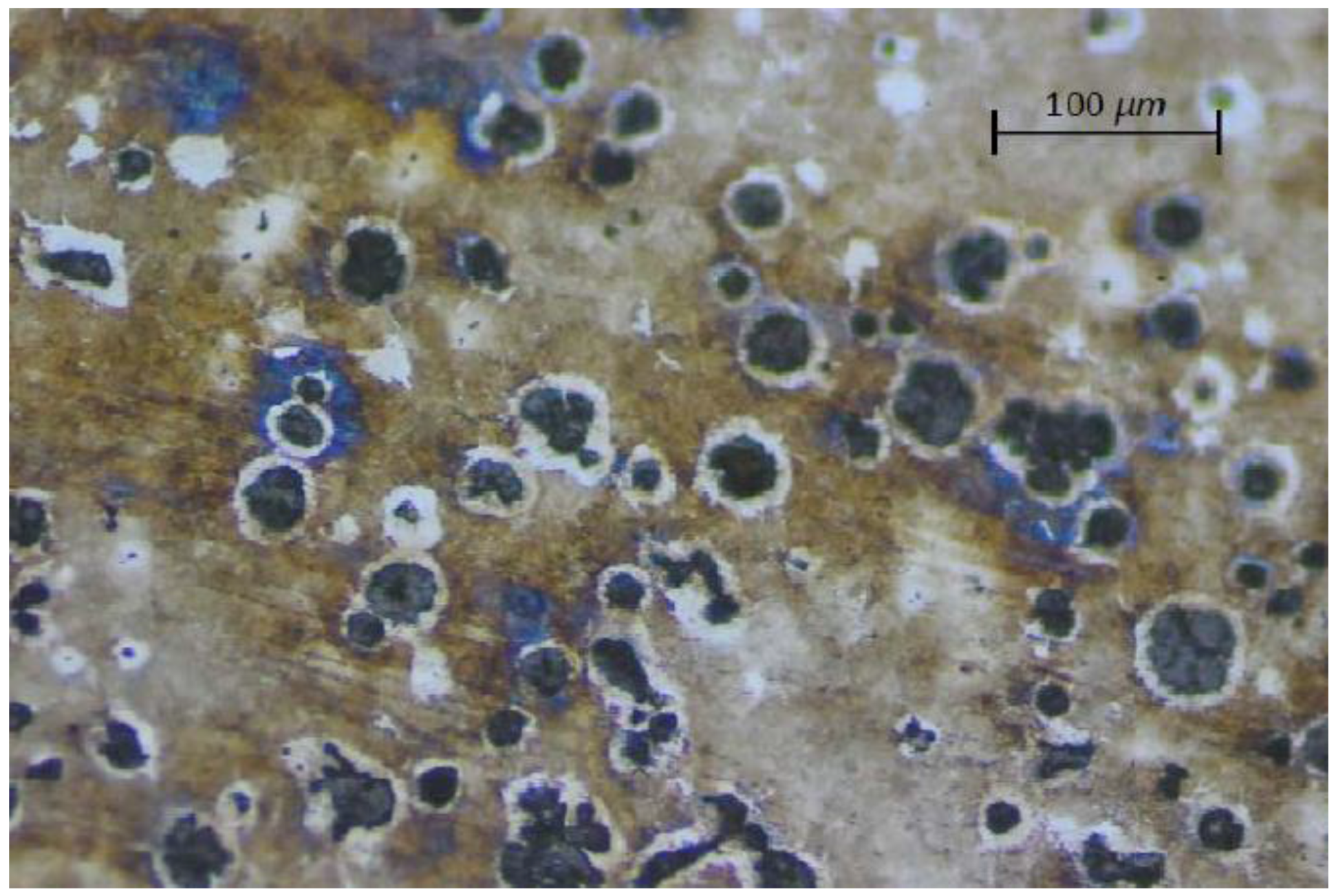 Metals 06 00283 g004 550