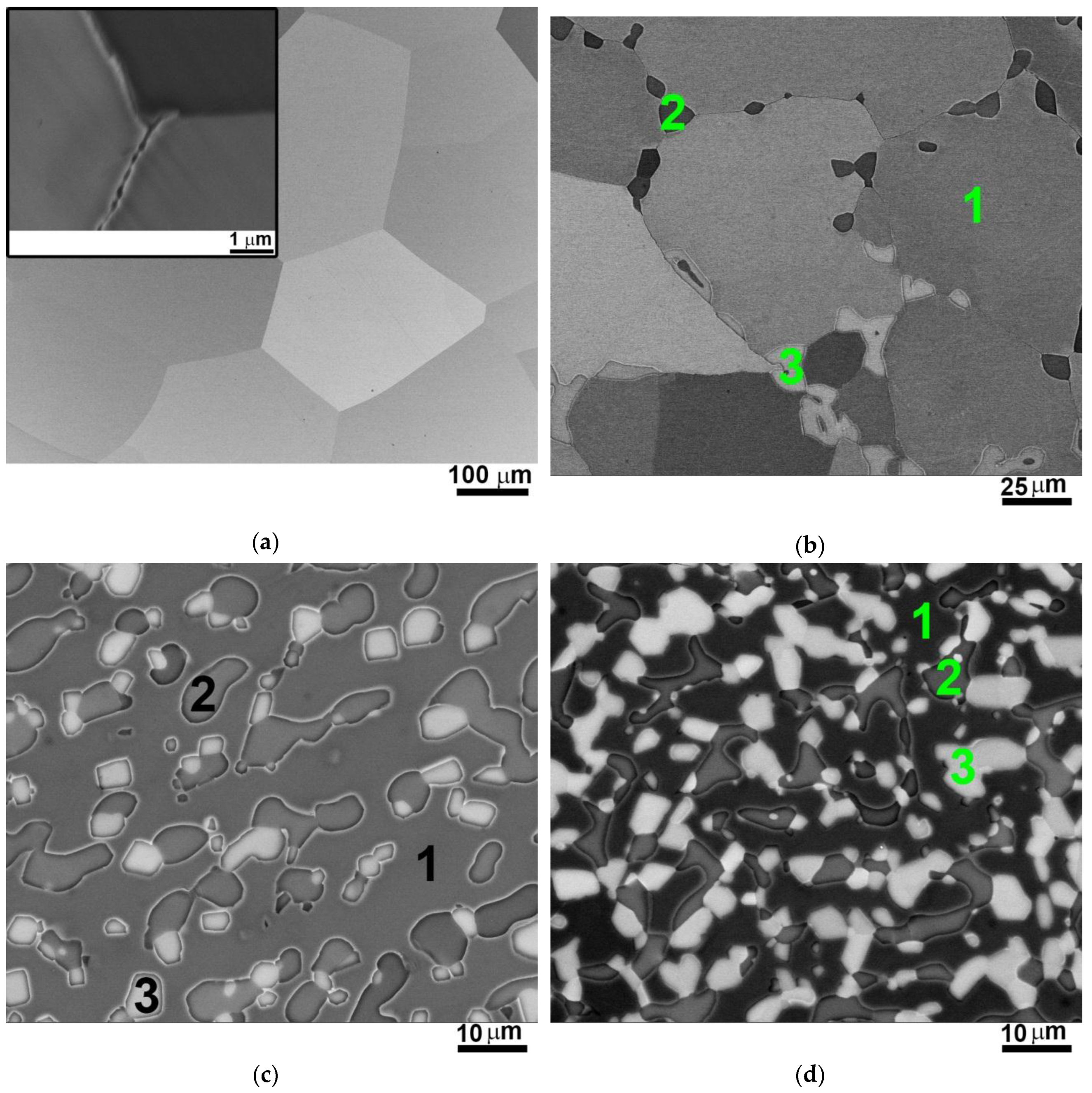 Metals 06 00298 g002