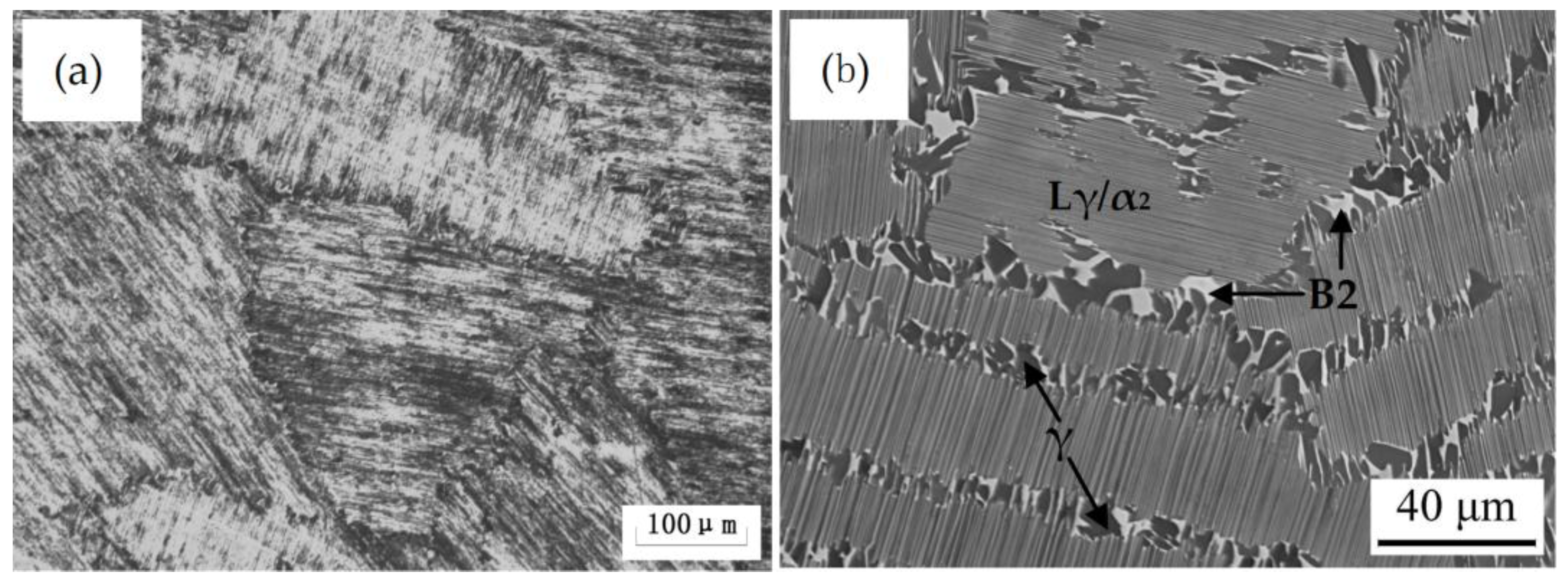 Metals 06 00305 g002