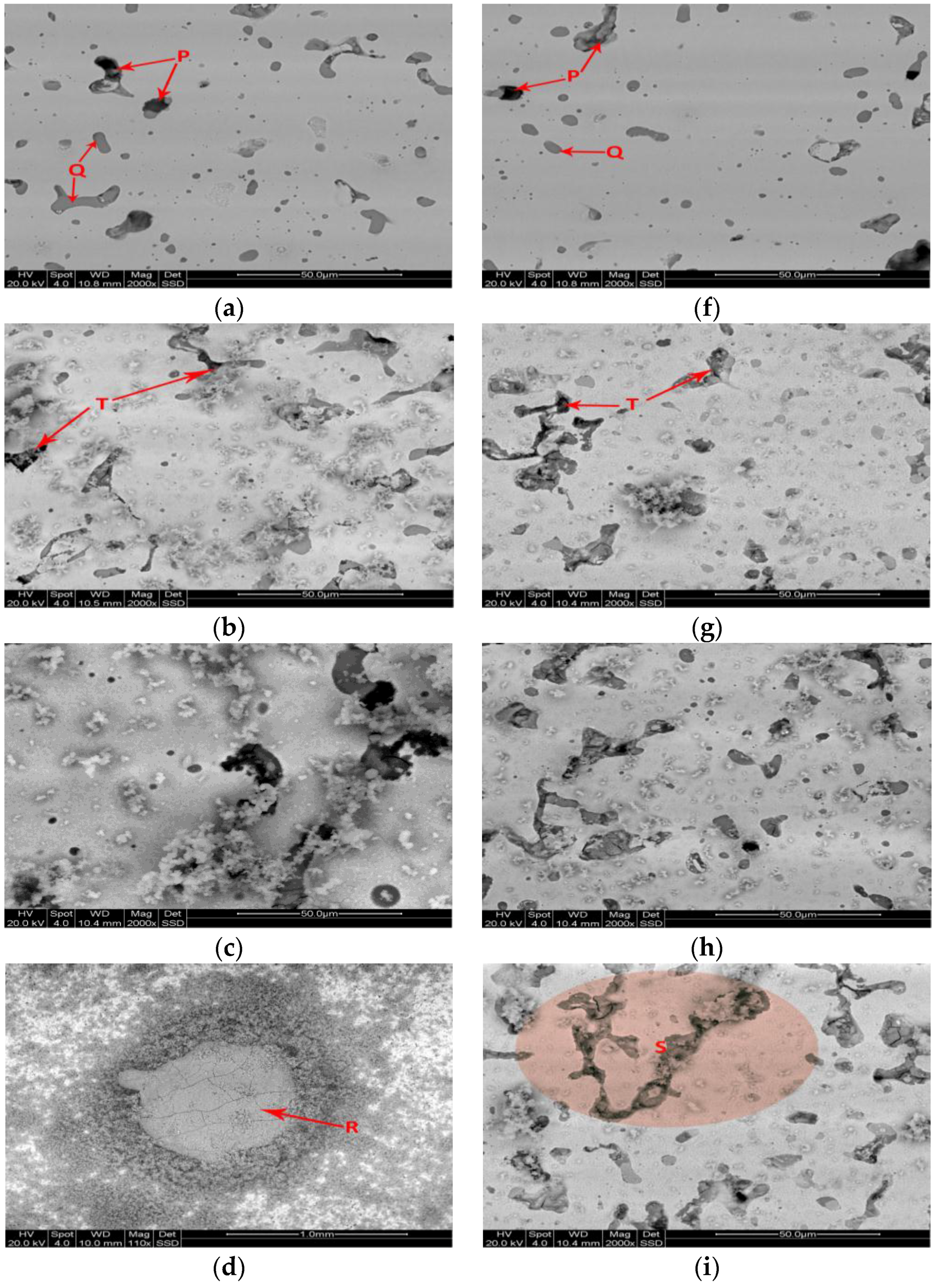 Metals 06 00309 g005a 550
