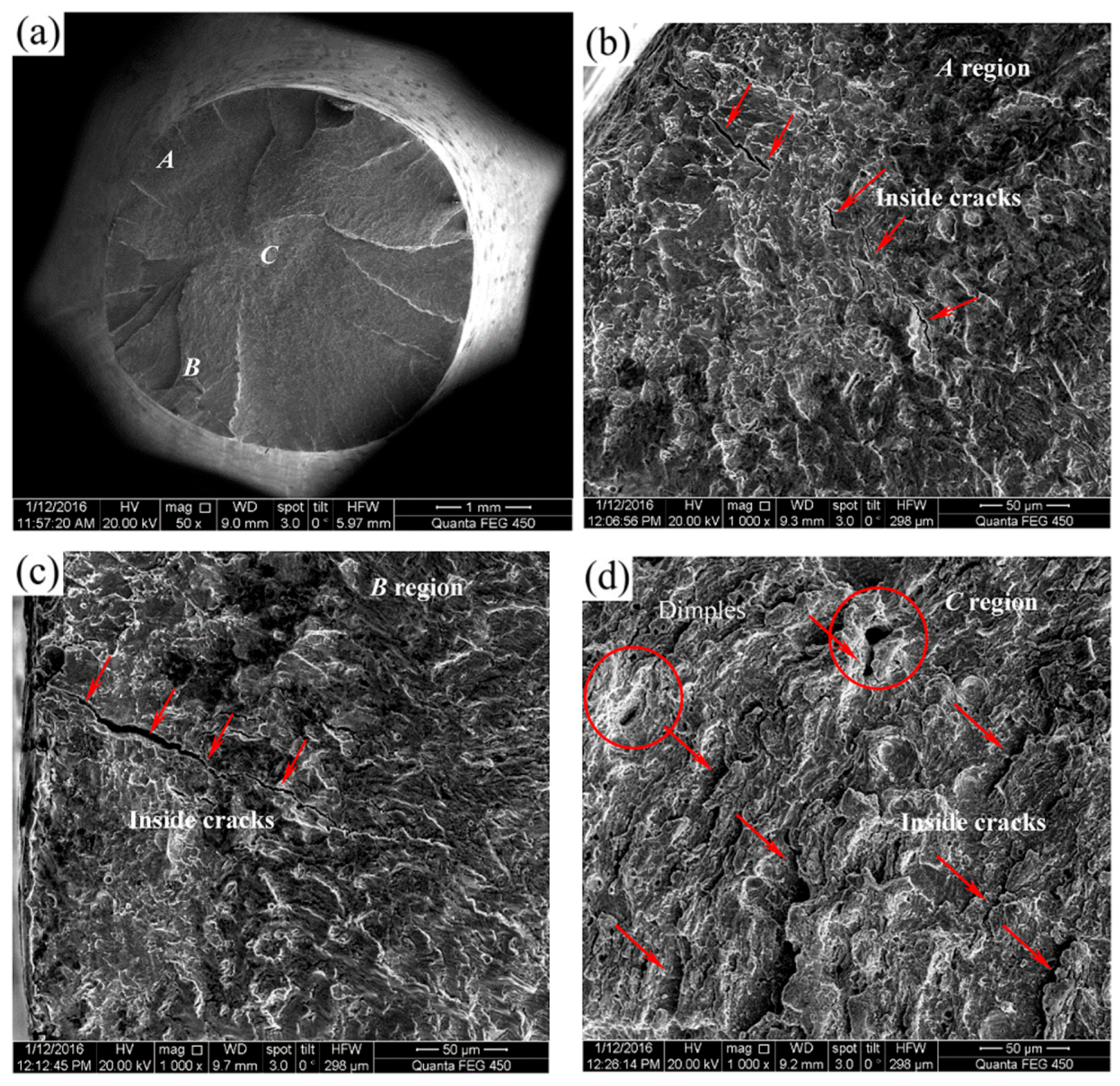 Metals 07 00134 g006 550