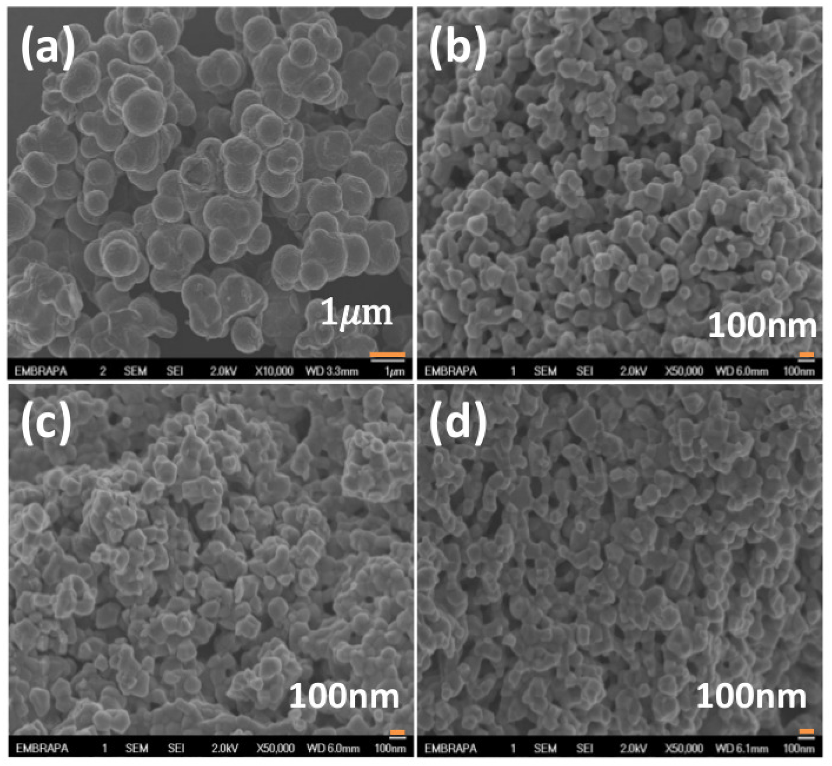 Metals 07 00142 g004 550