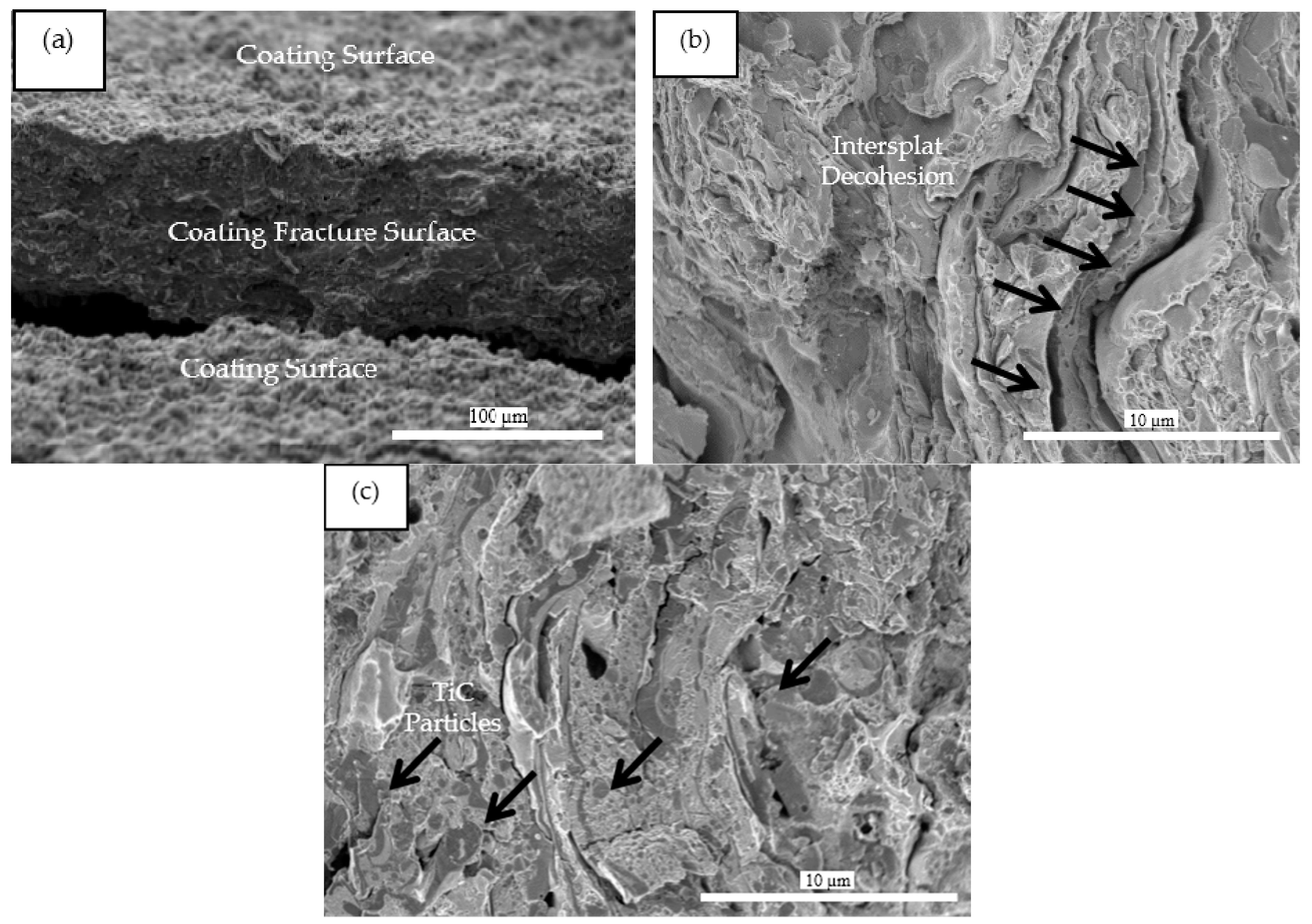 Metals 07 00177 g008 550