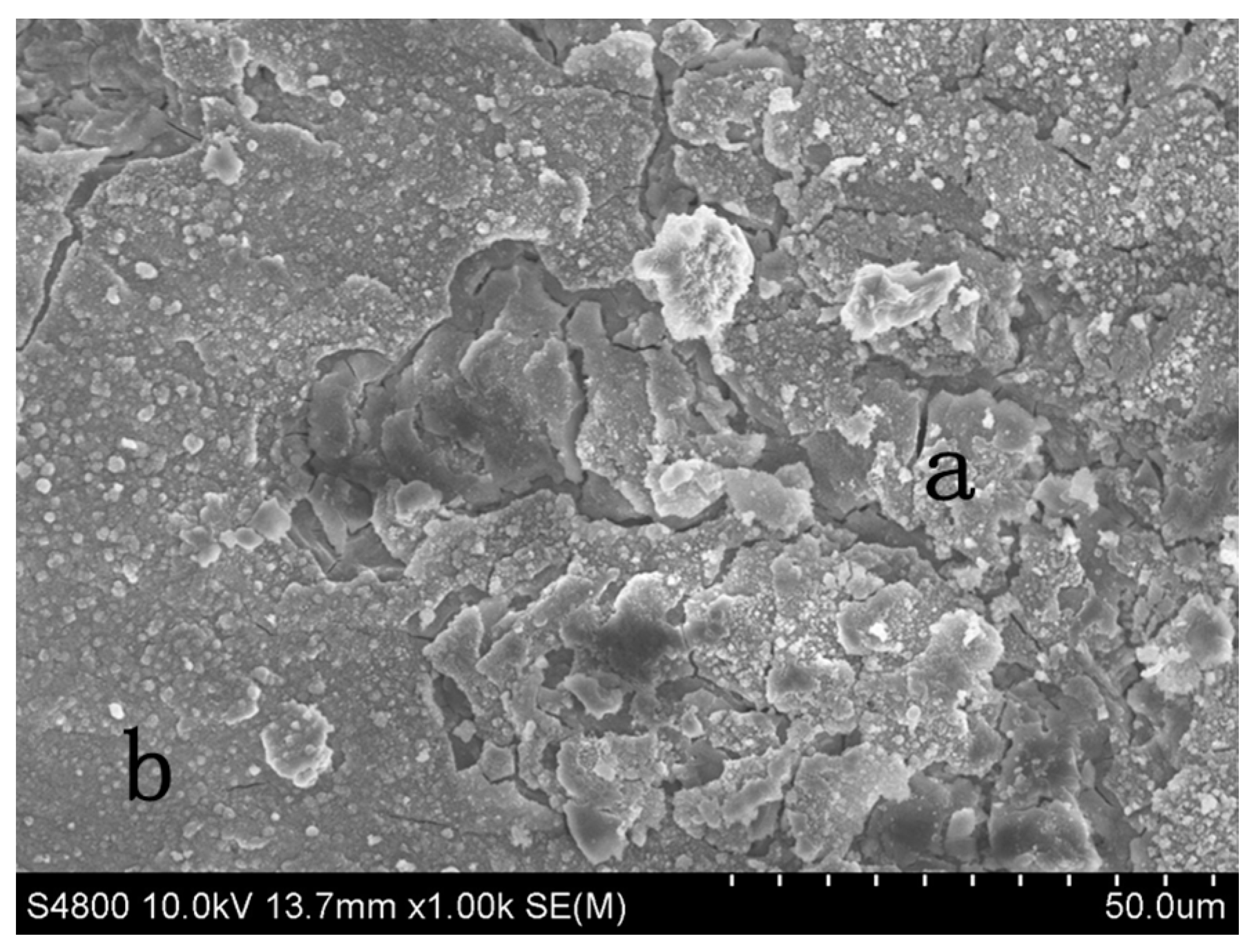 Metals 07 00179 g005