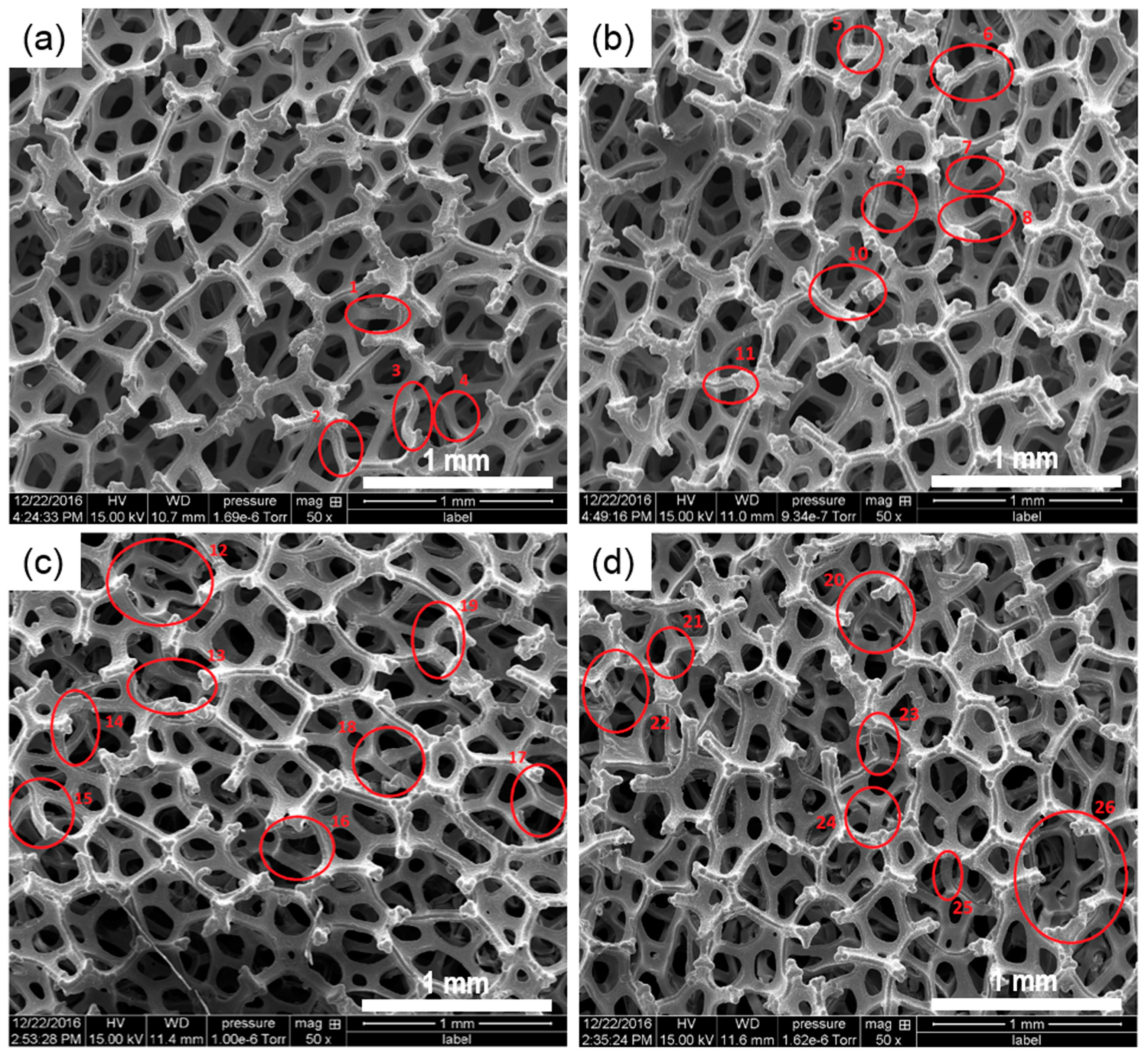 Metals 07 00202 g007 550