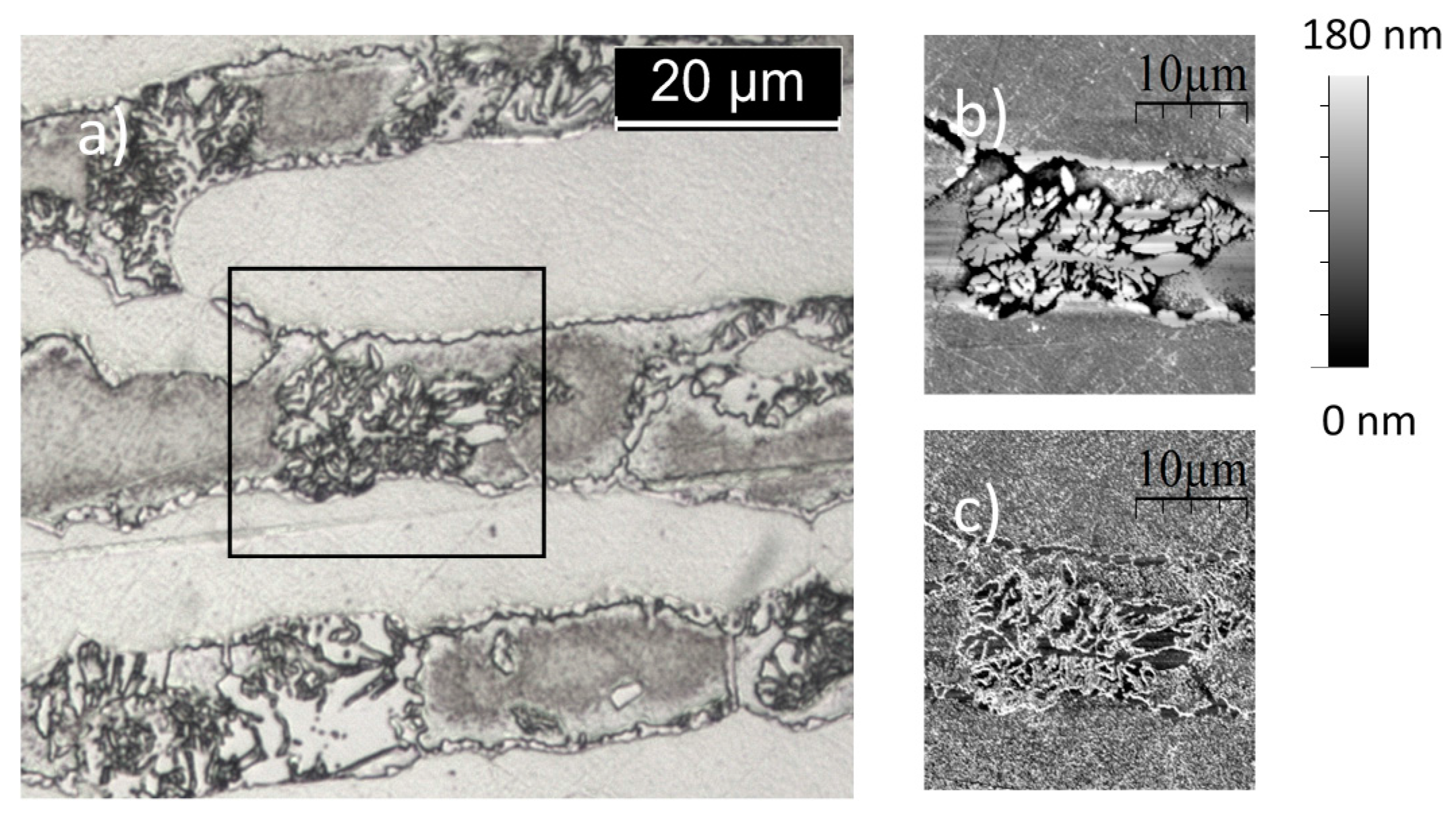 Metals 07 00219 g008 550