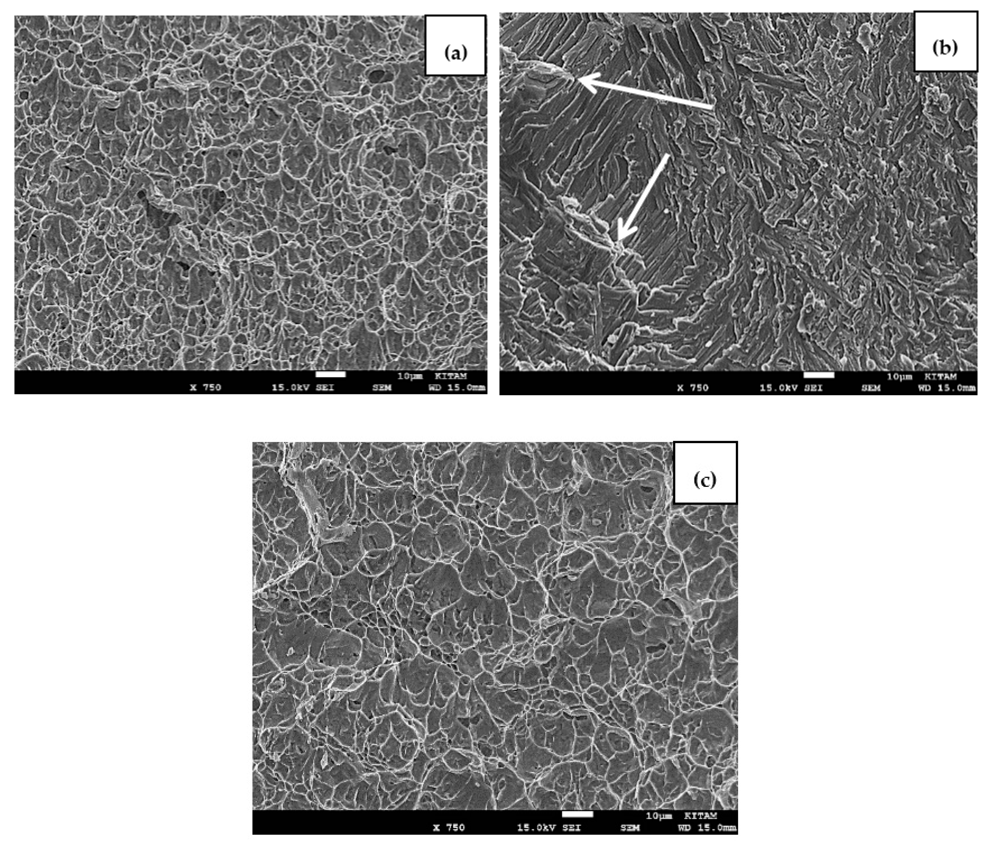 Metals 07 00221 g007 550