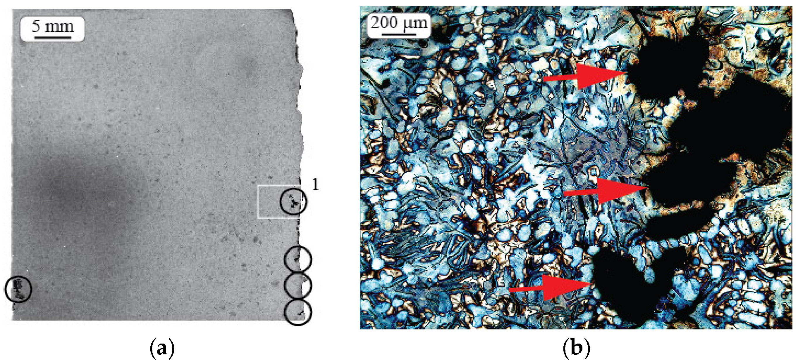 Metals 07 00244 g003 550