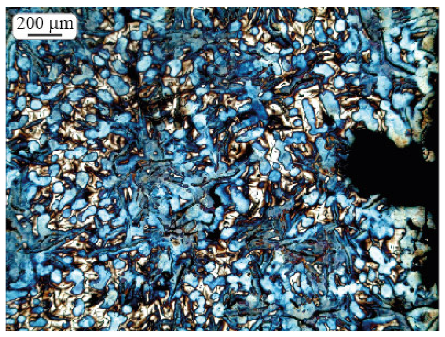 Metals 07 00244 g006 550