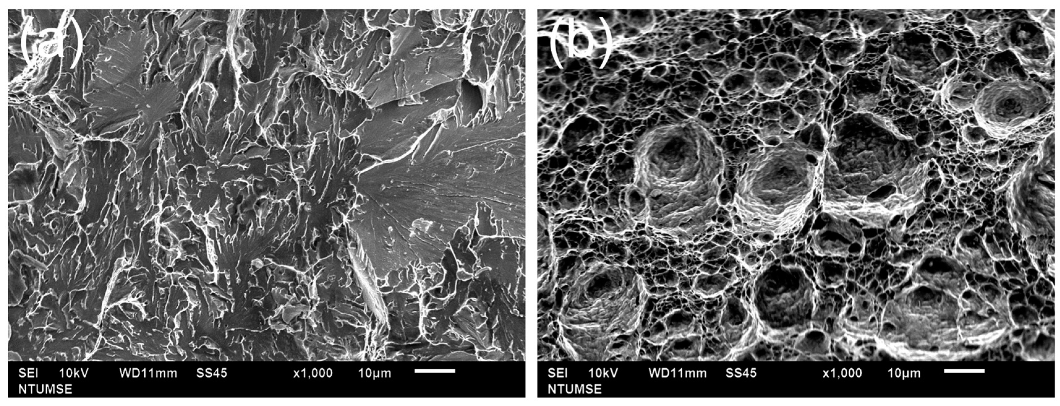 Metals 07 00253 g005