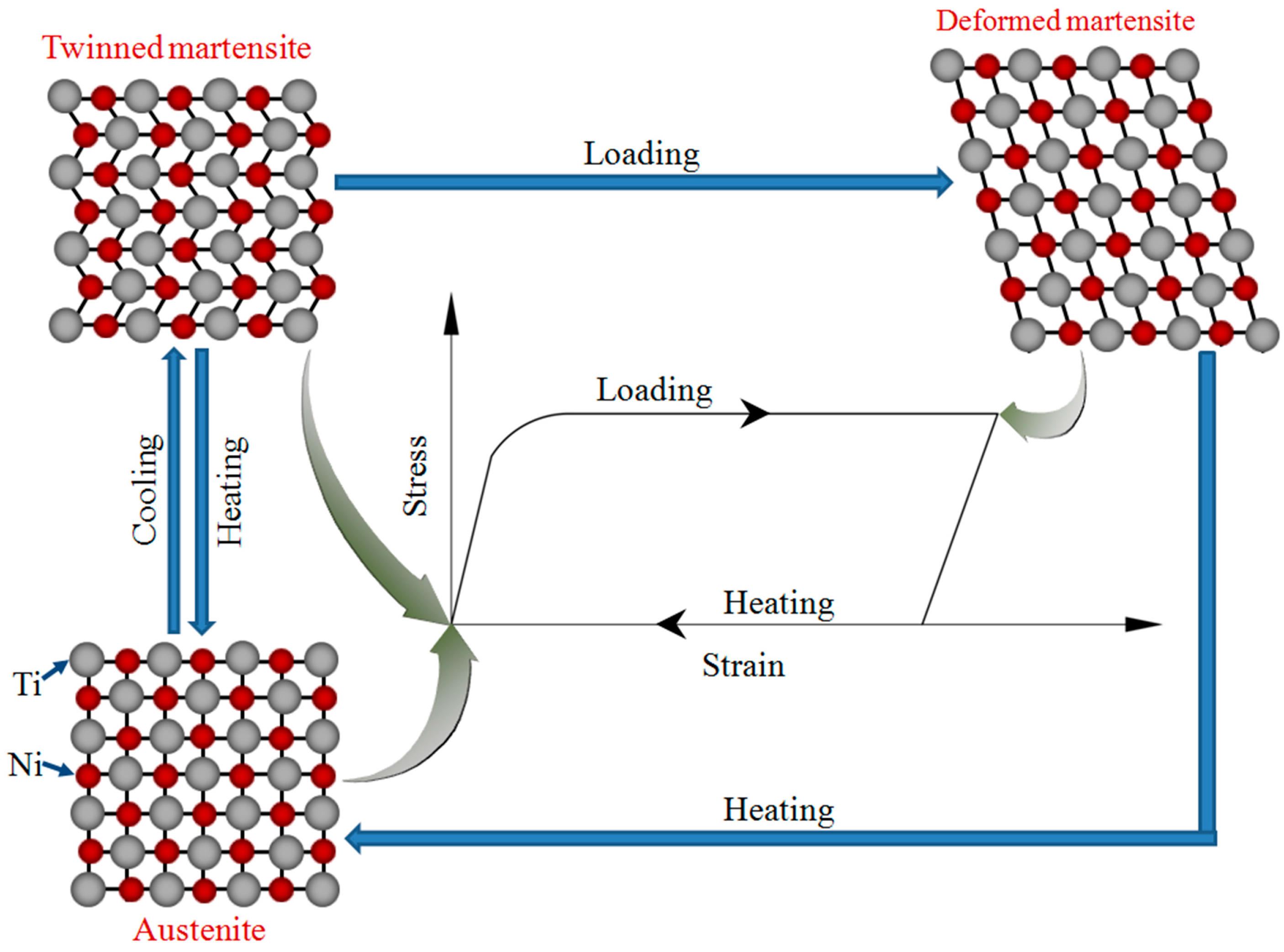 Metals Free FullText Investigation on Deformation Mechanisms of