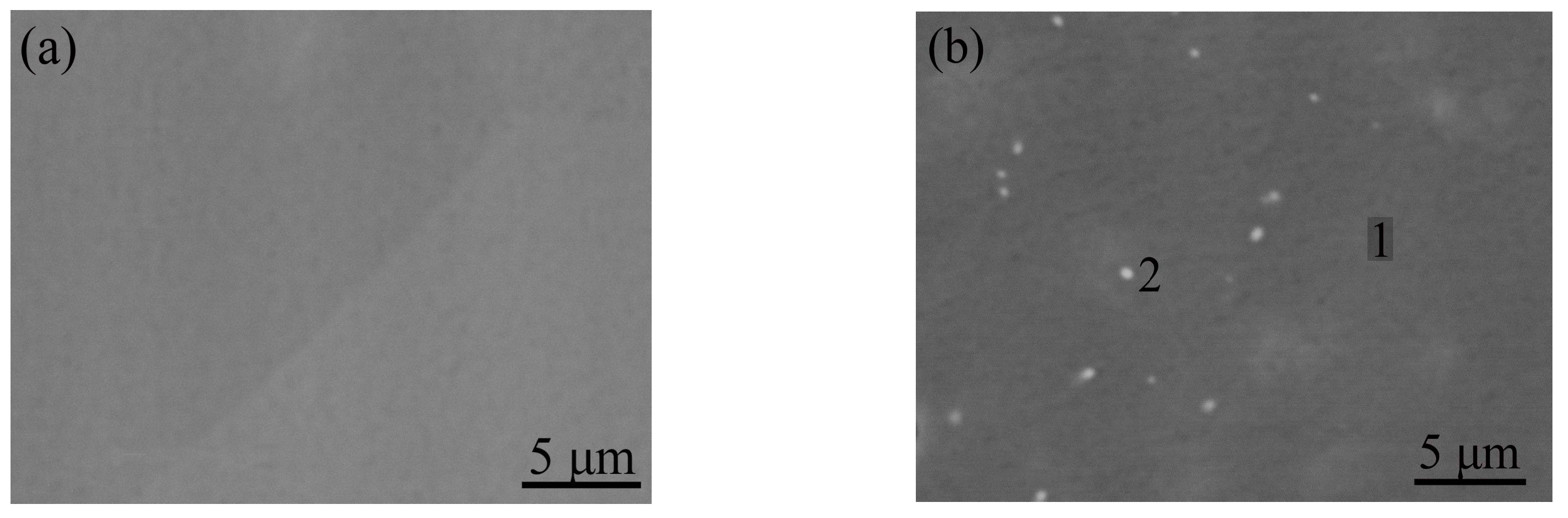 Metals 07 00286 g003a 550