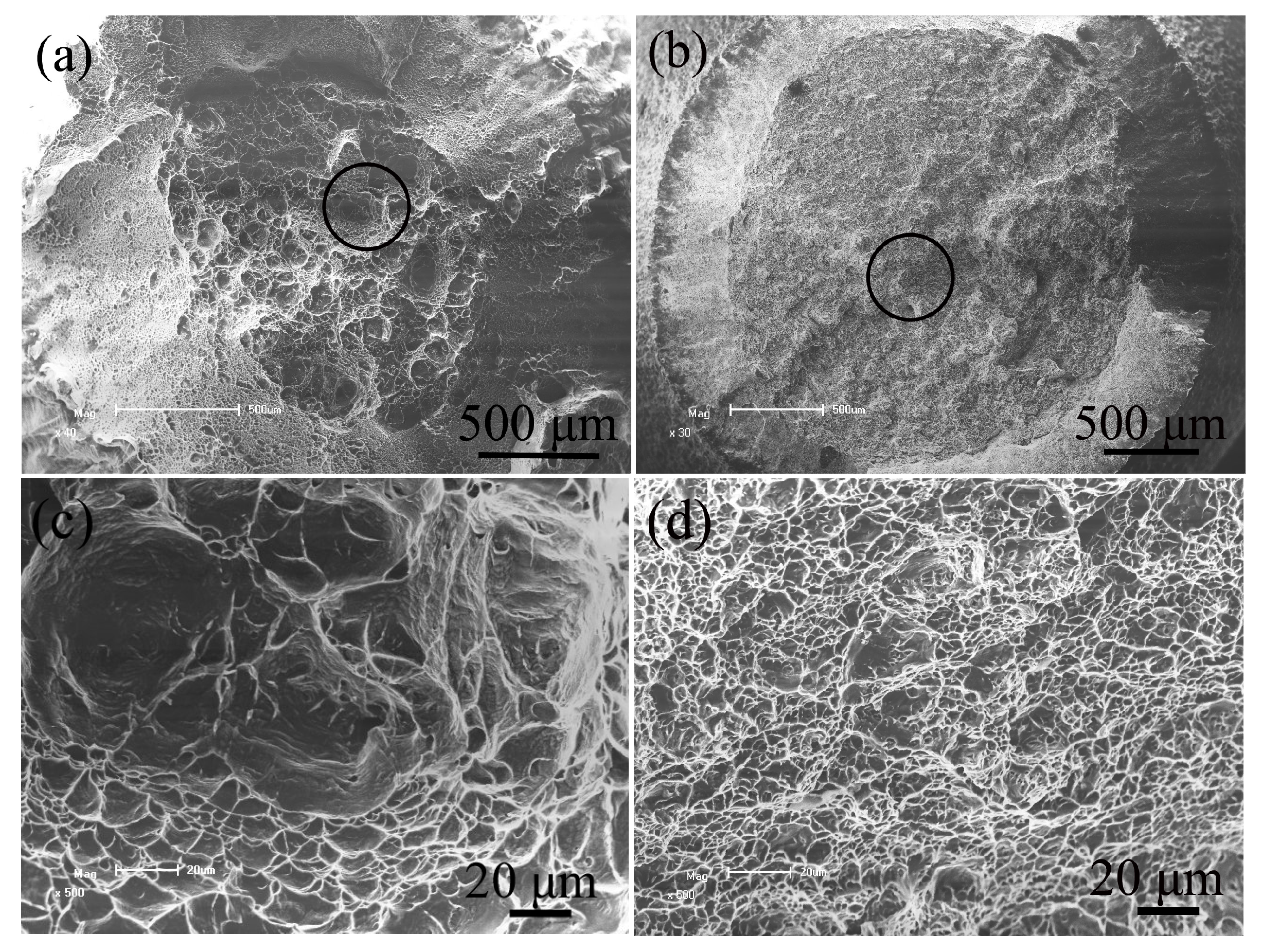 Metals 07 00286 g007 550