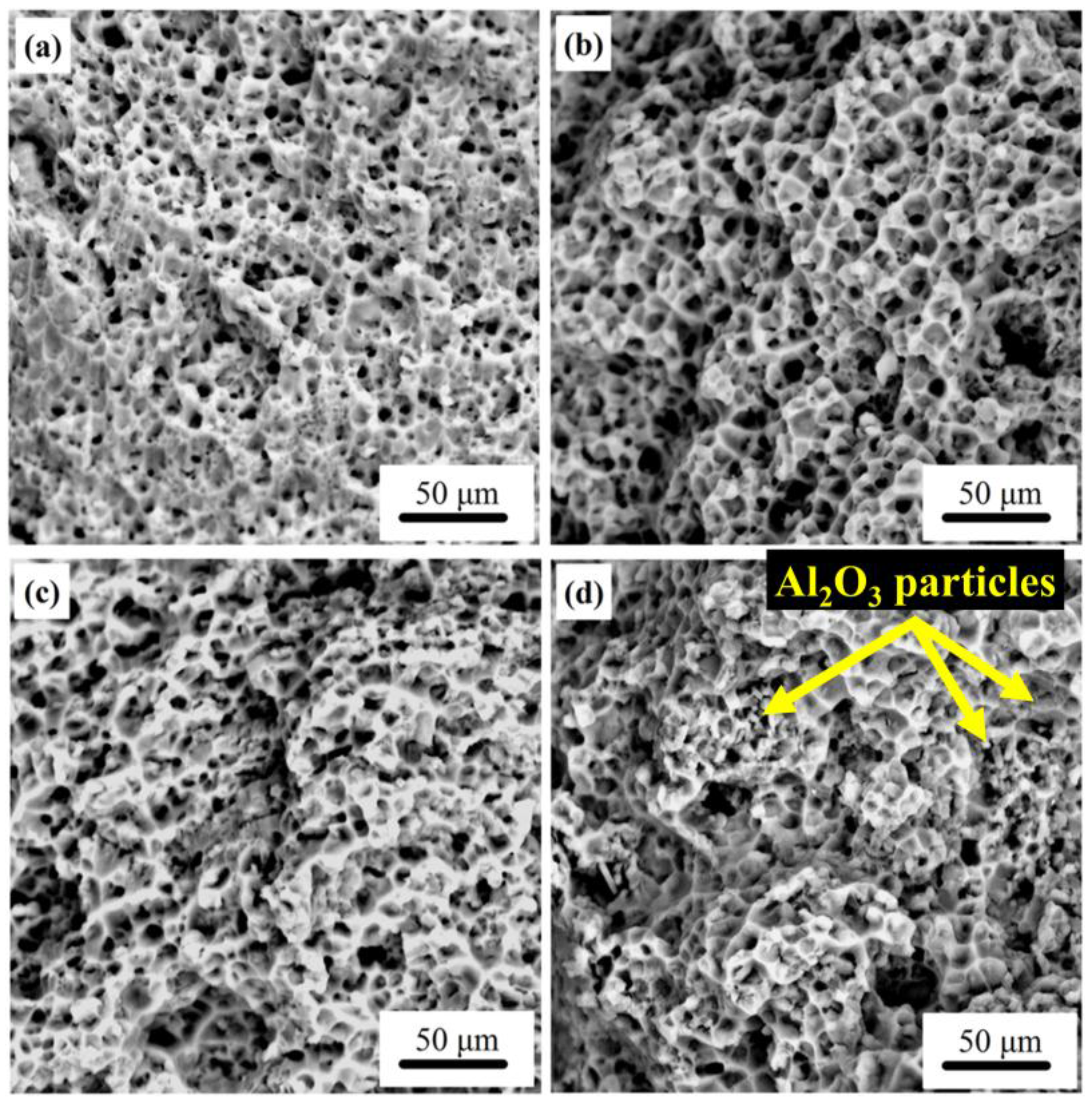 Metals 07 00359 g006