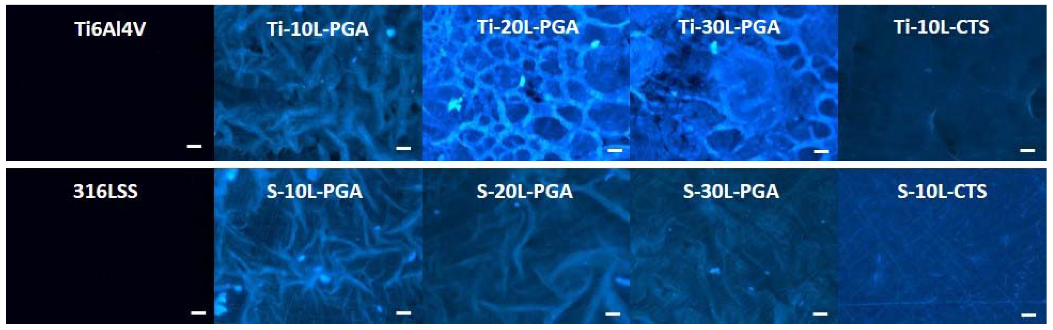 Metals 07 00418 g006 550