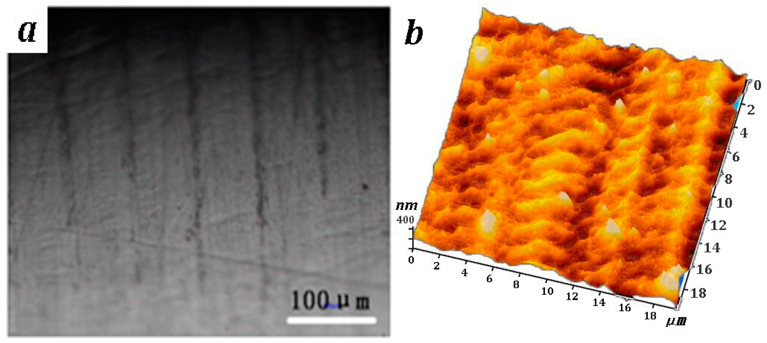 Metals 07 00440 g004 550