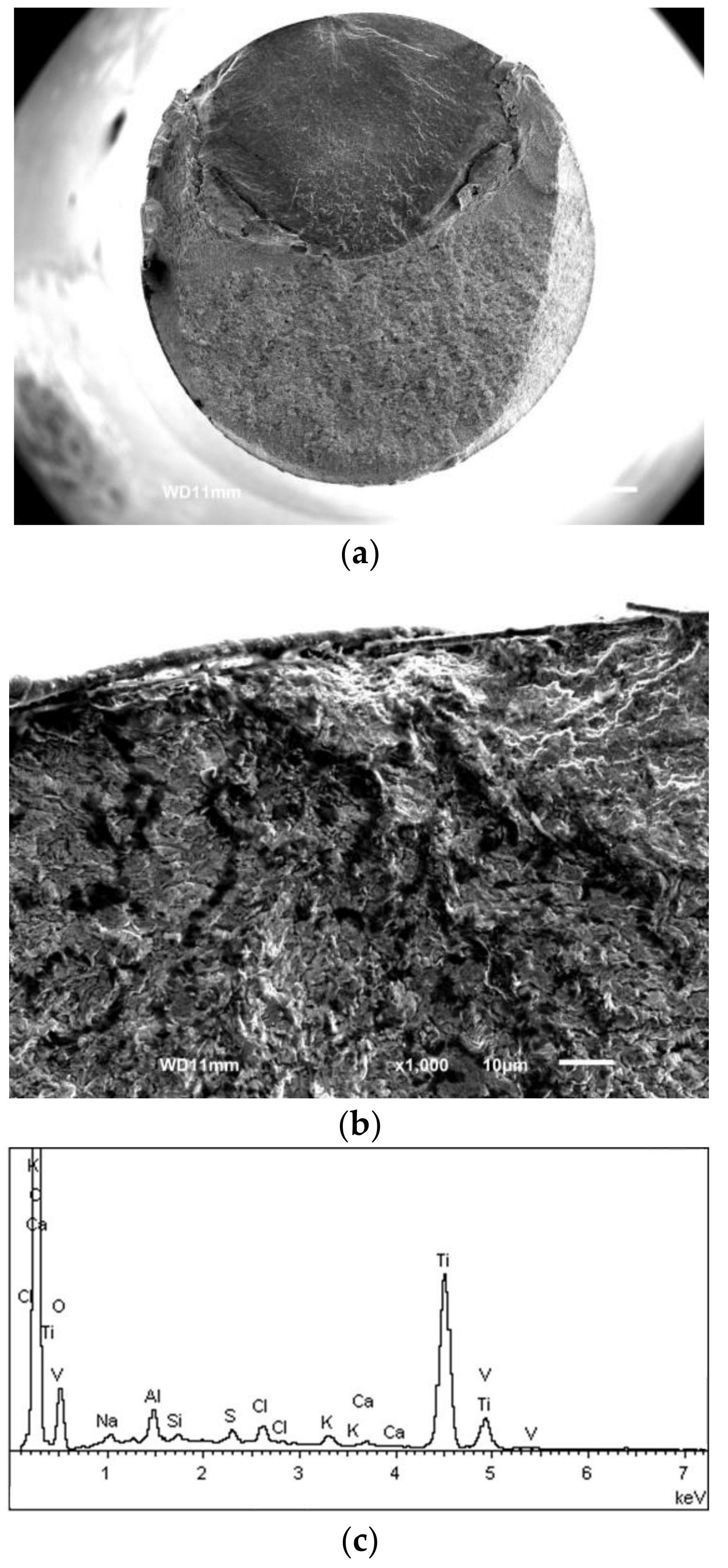 Metals 07 00440 g012 550