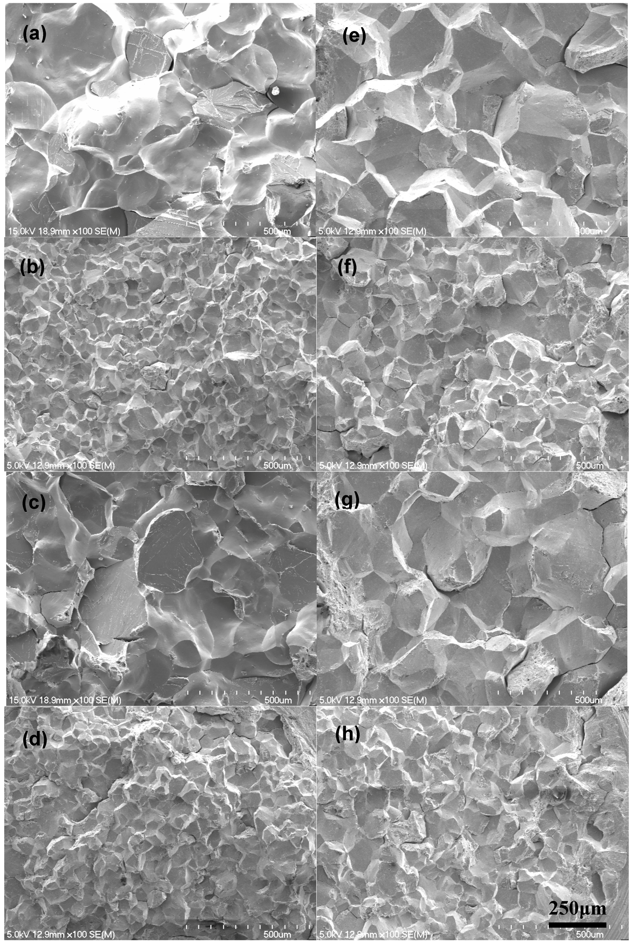 Metals 07 00470 g002 550