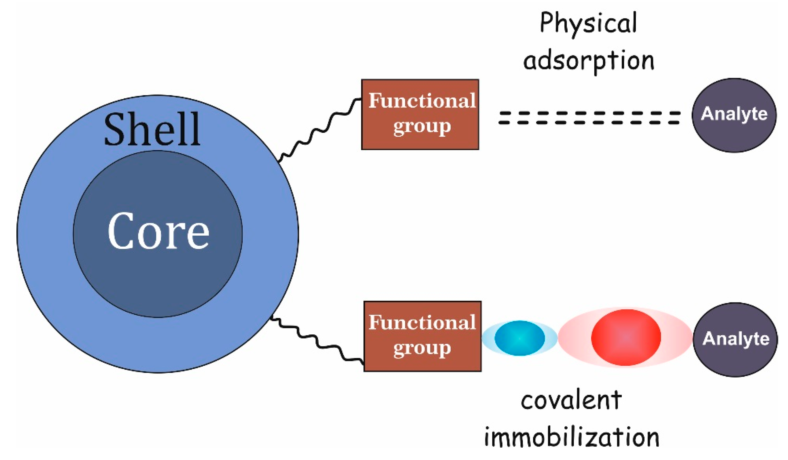 Частицы ядро оболочка. Shell and Core. Структура Shell. Core-Shell structure. UCNPS Core-Shell.