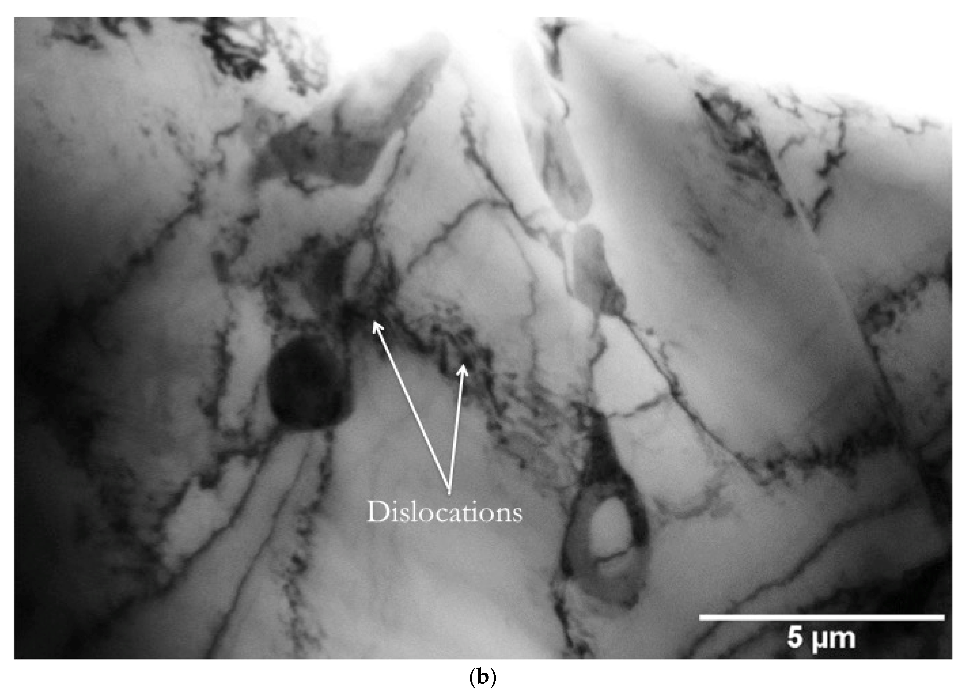 Metals 07 00539 g007b Metals 07 00539 g007b