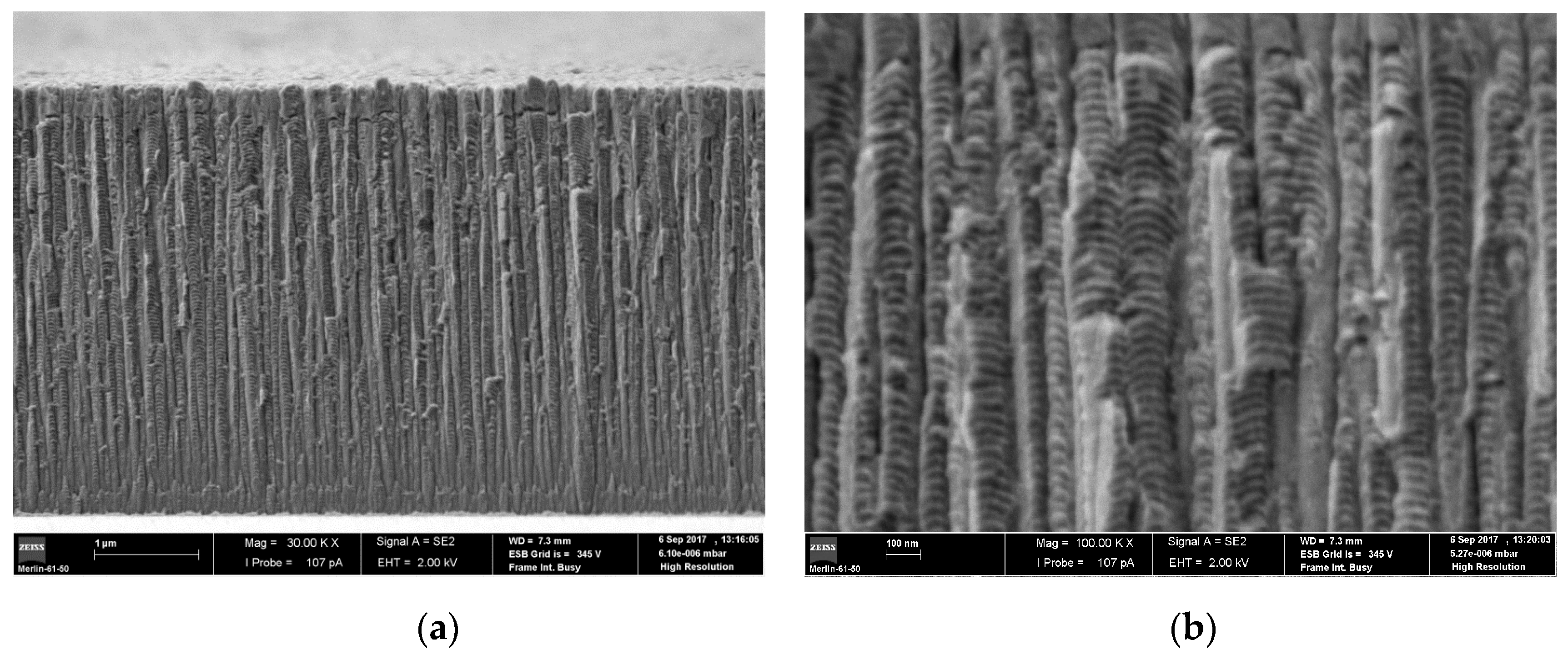 Metals 07 00574 g002