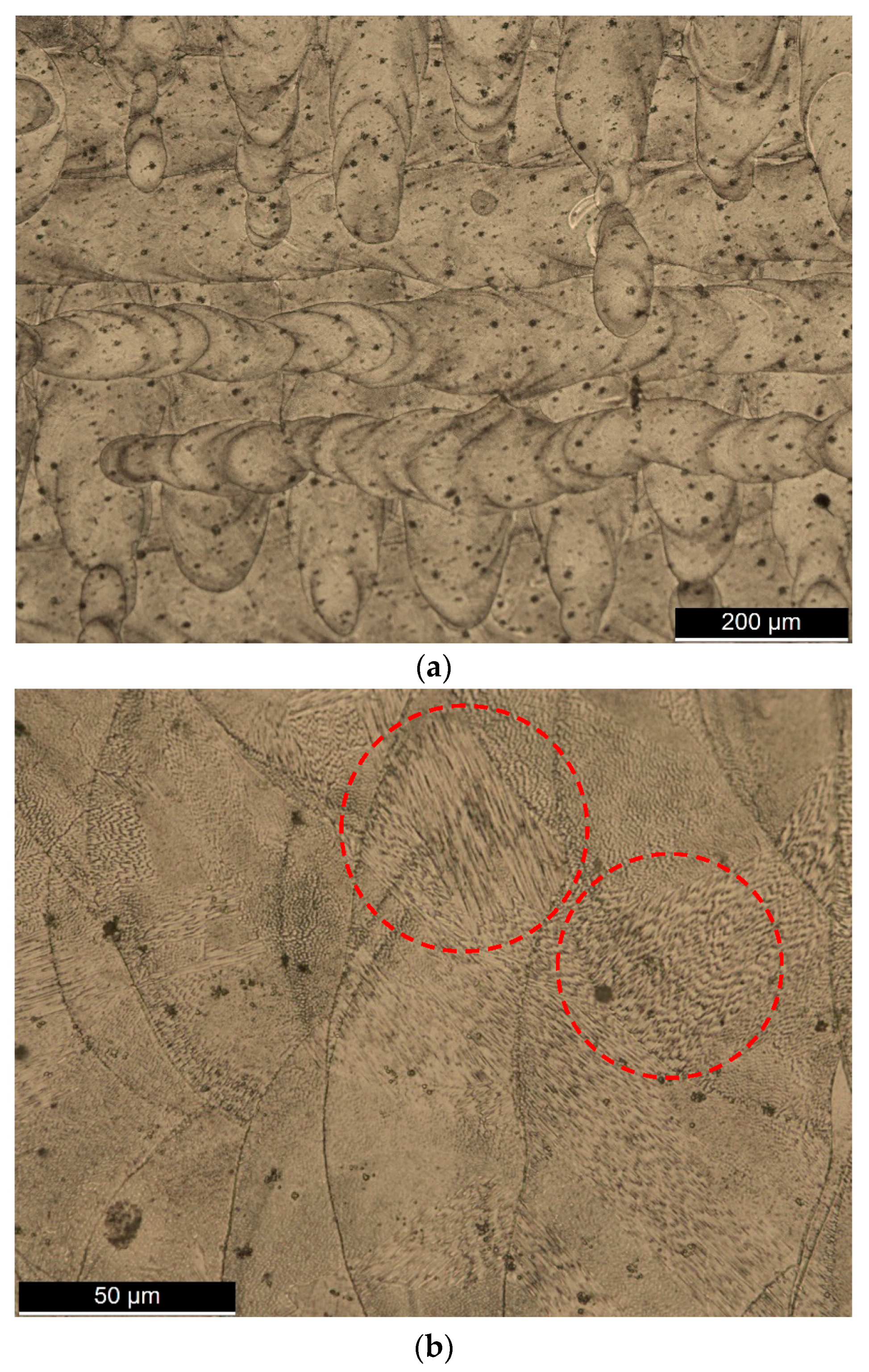 Metals 08 00032 g002a