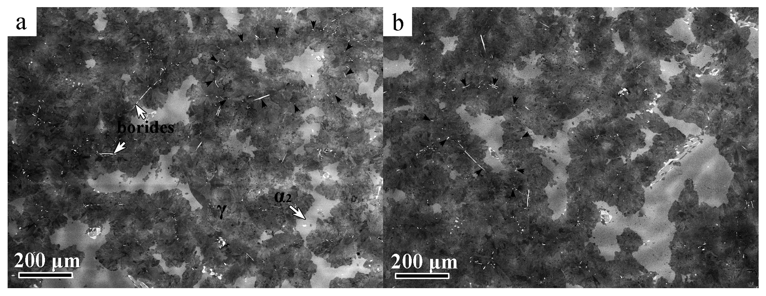 Metals 08 00089 g002 550