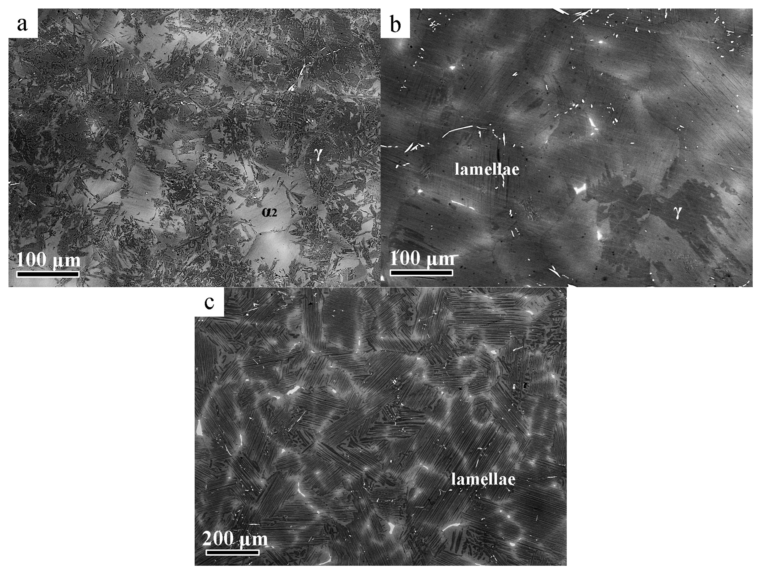 Metals 08 00089 g003 550