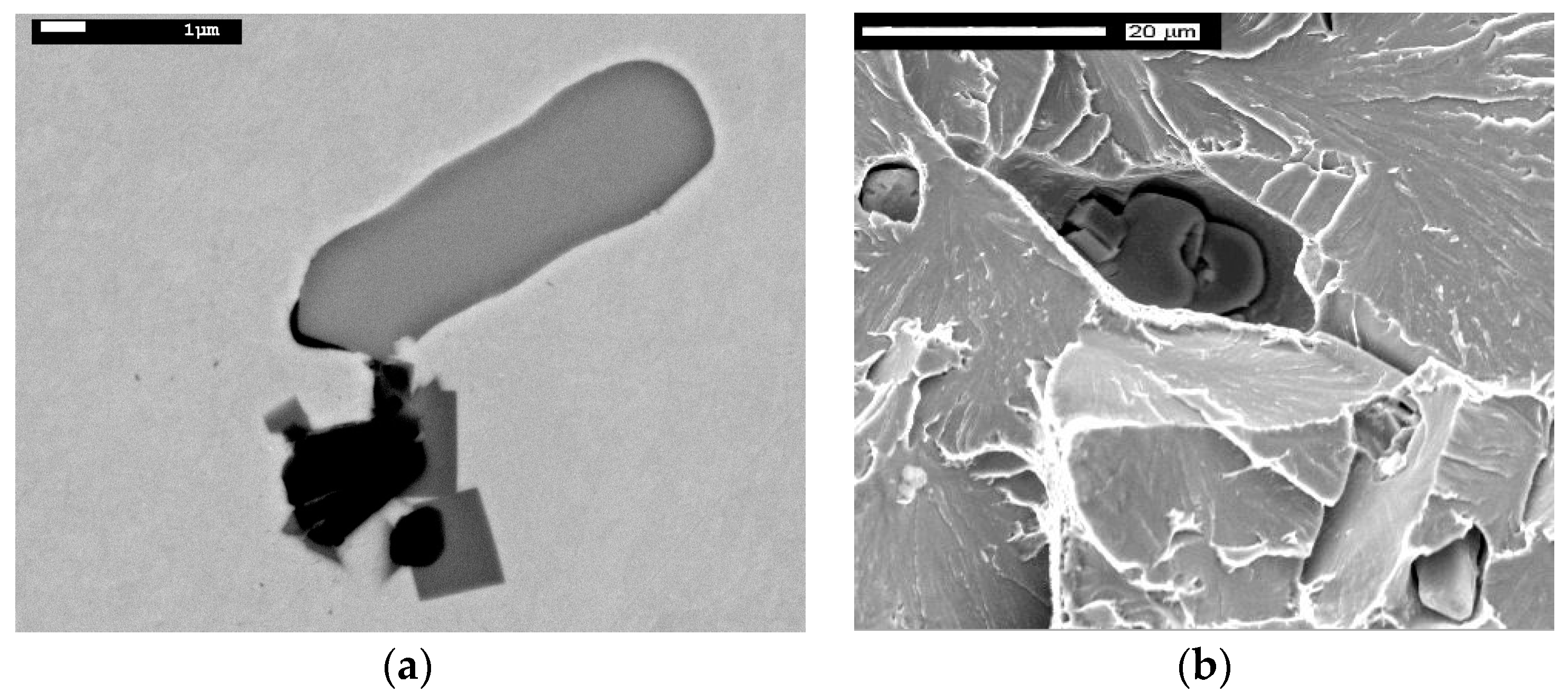 Metals 08 00115 g015 550