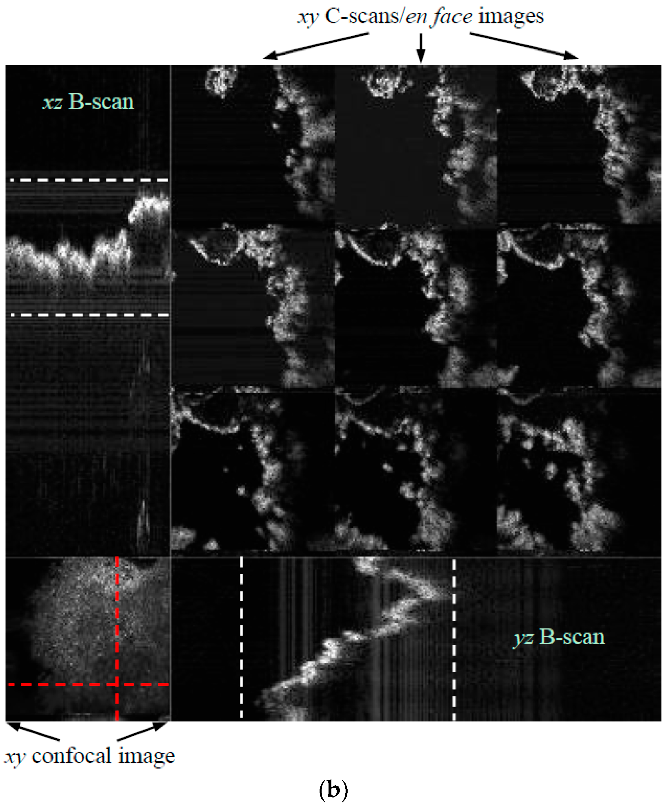 Metals 08 00117 g001b 550