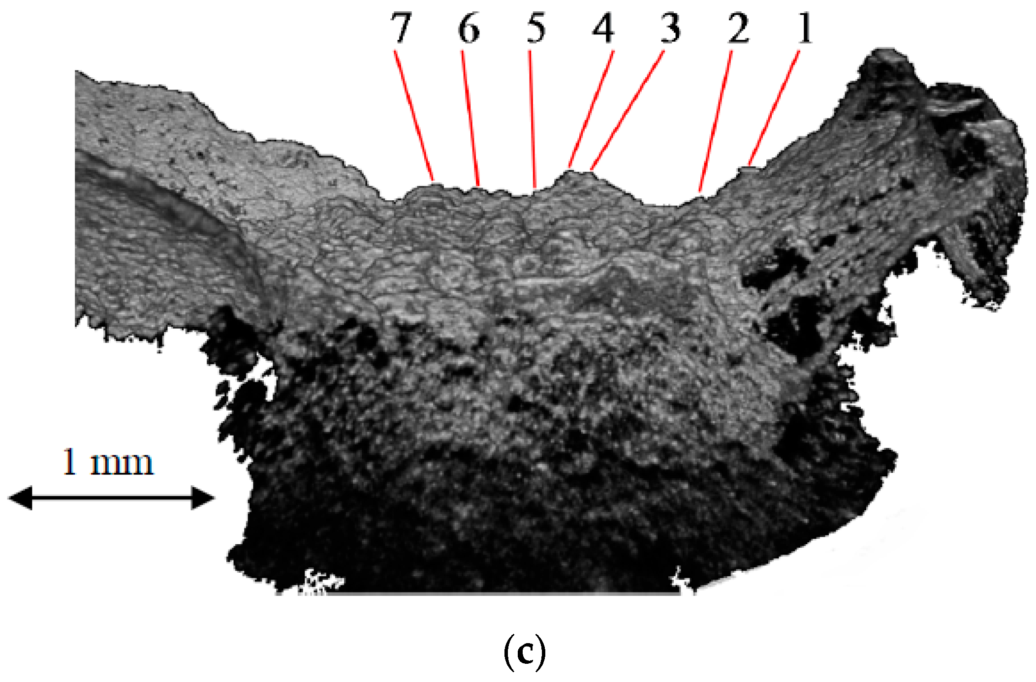 Metals 08 00117 g004b 550