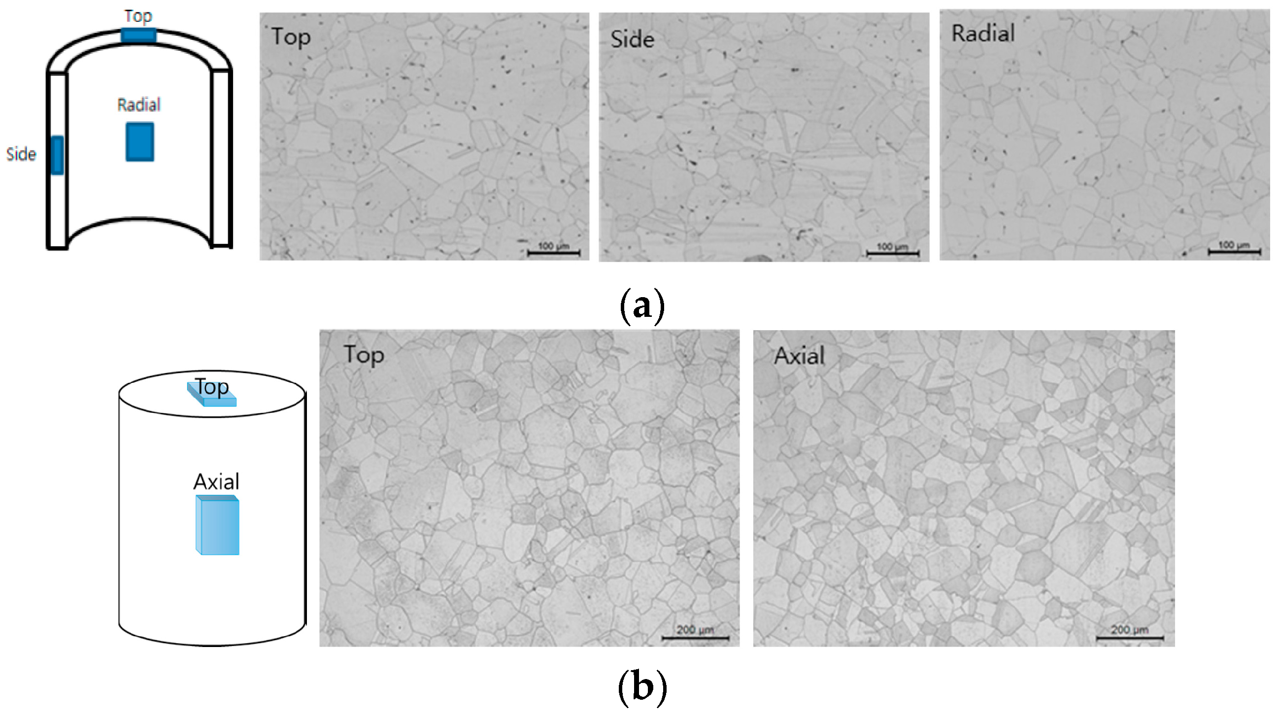 Metals 08 00130 g001a