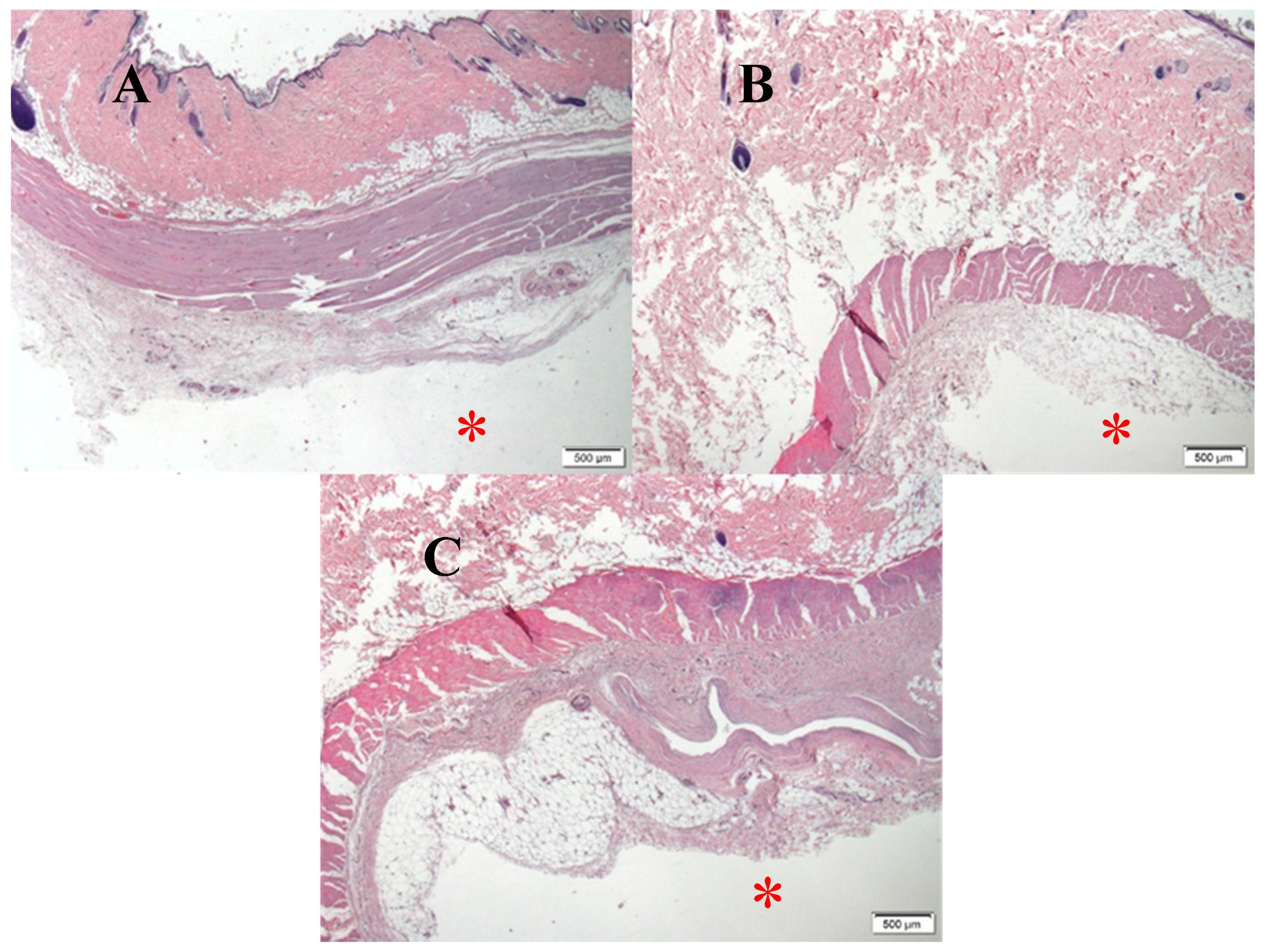 Metals 08 00153 g016 550