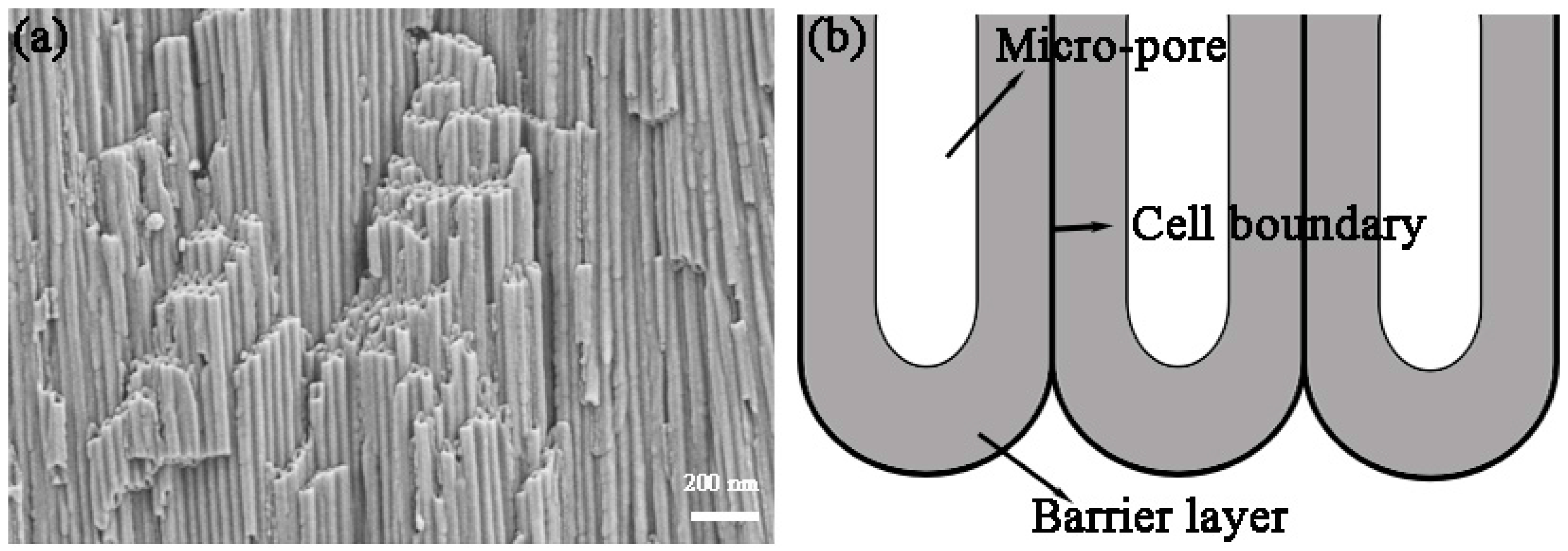 Metals 08 00165 g003