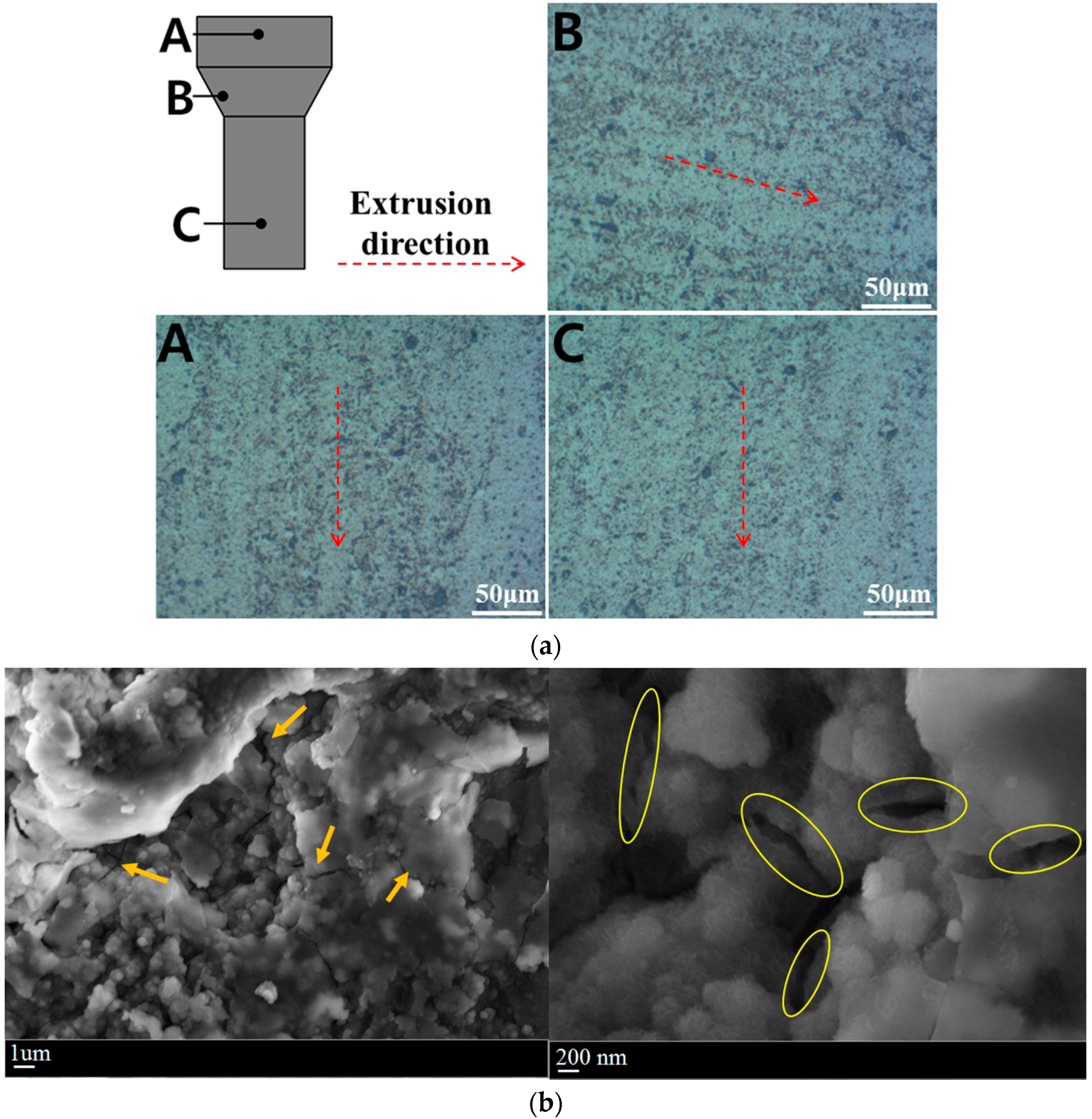 Metals 08 00184 g012 550