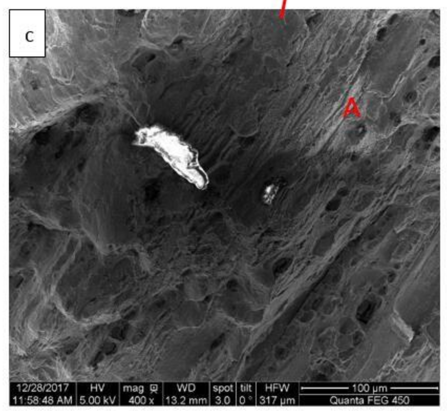 Metals 08 00210 g002b 550